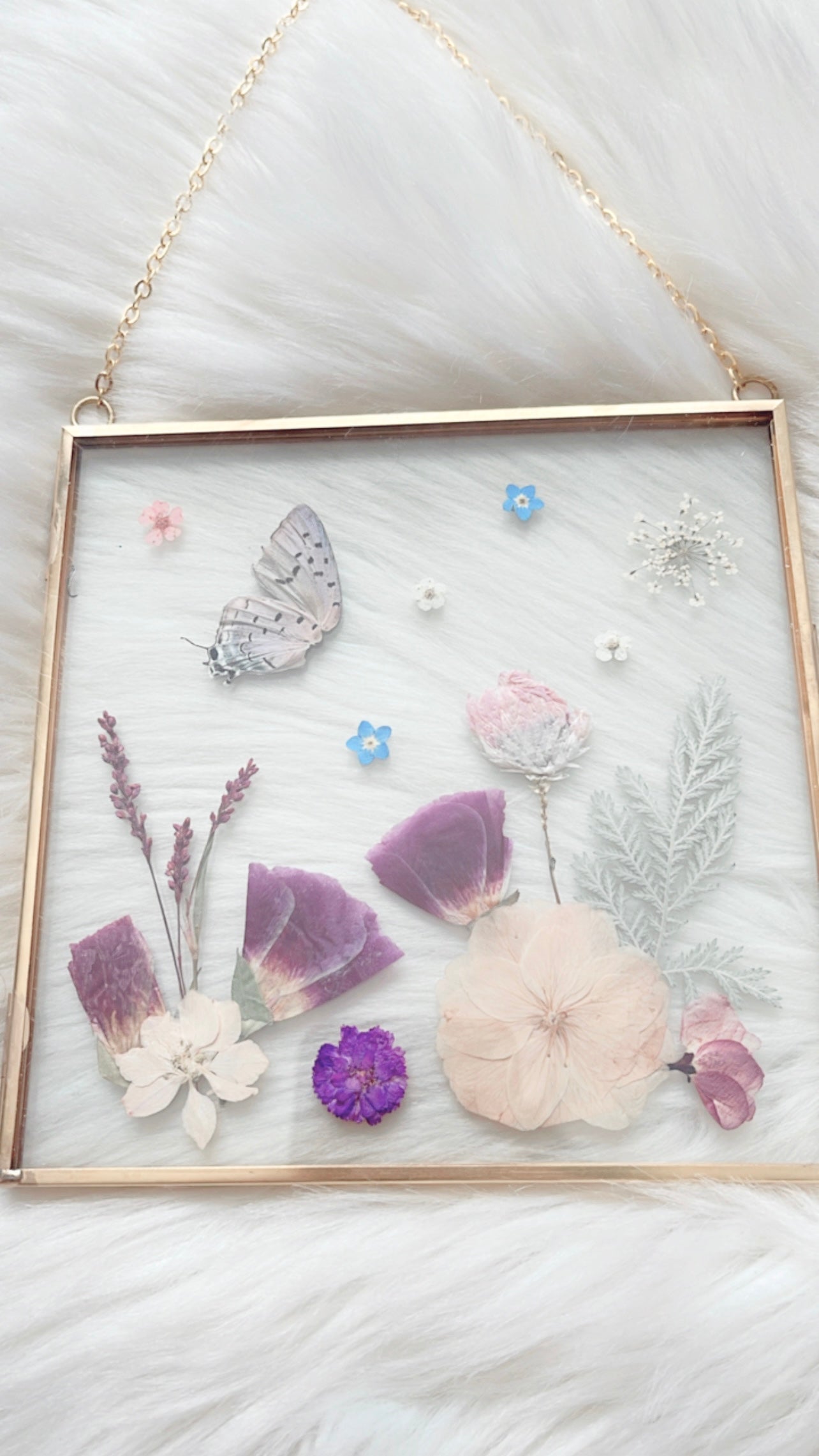 Aurora Butterfly Floral Frame