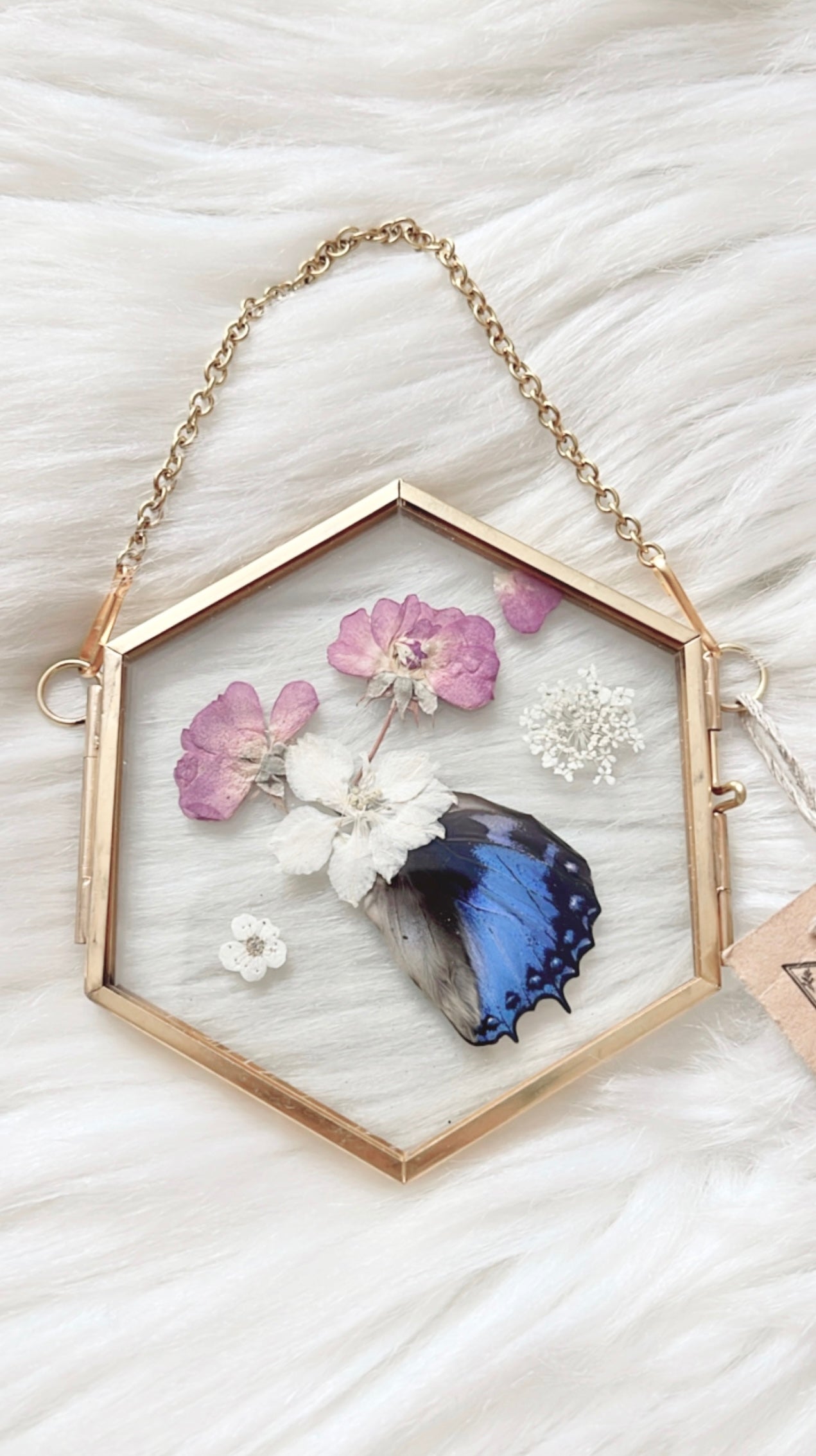 Aurora Butterfly Floral Frame <3.25x3.75in>