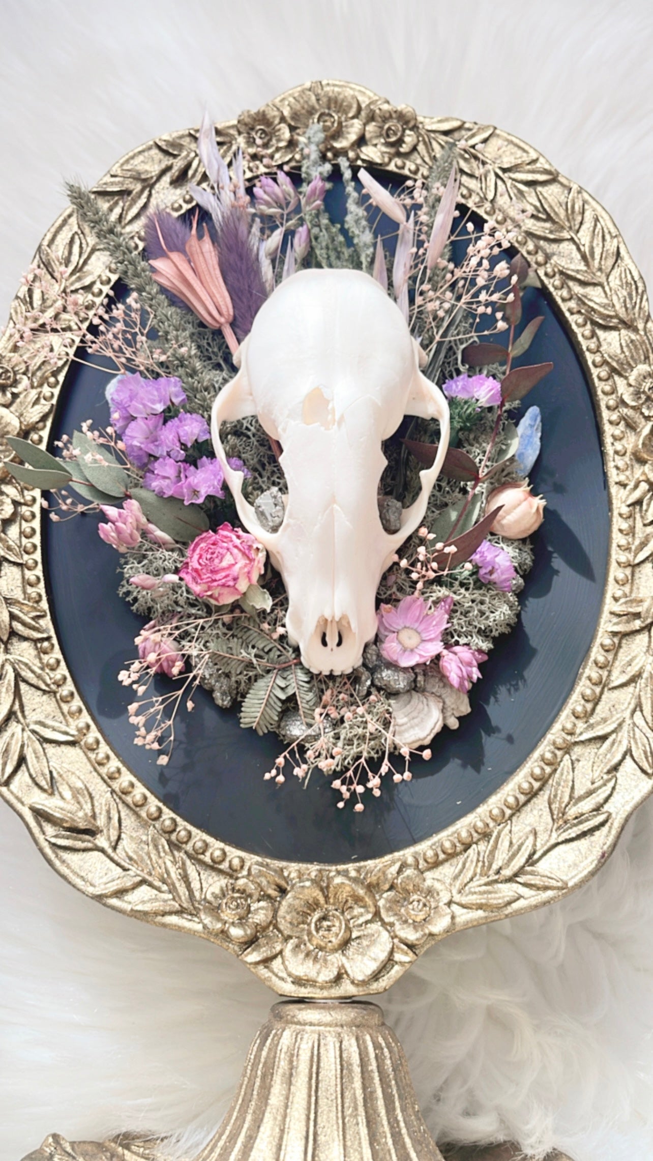 Aurora Oddities Floral Frame Stand <Raccoon Skull>