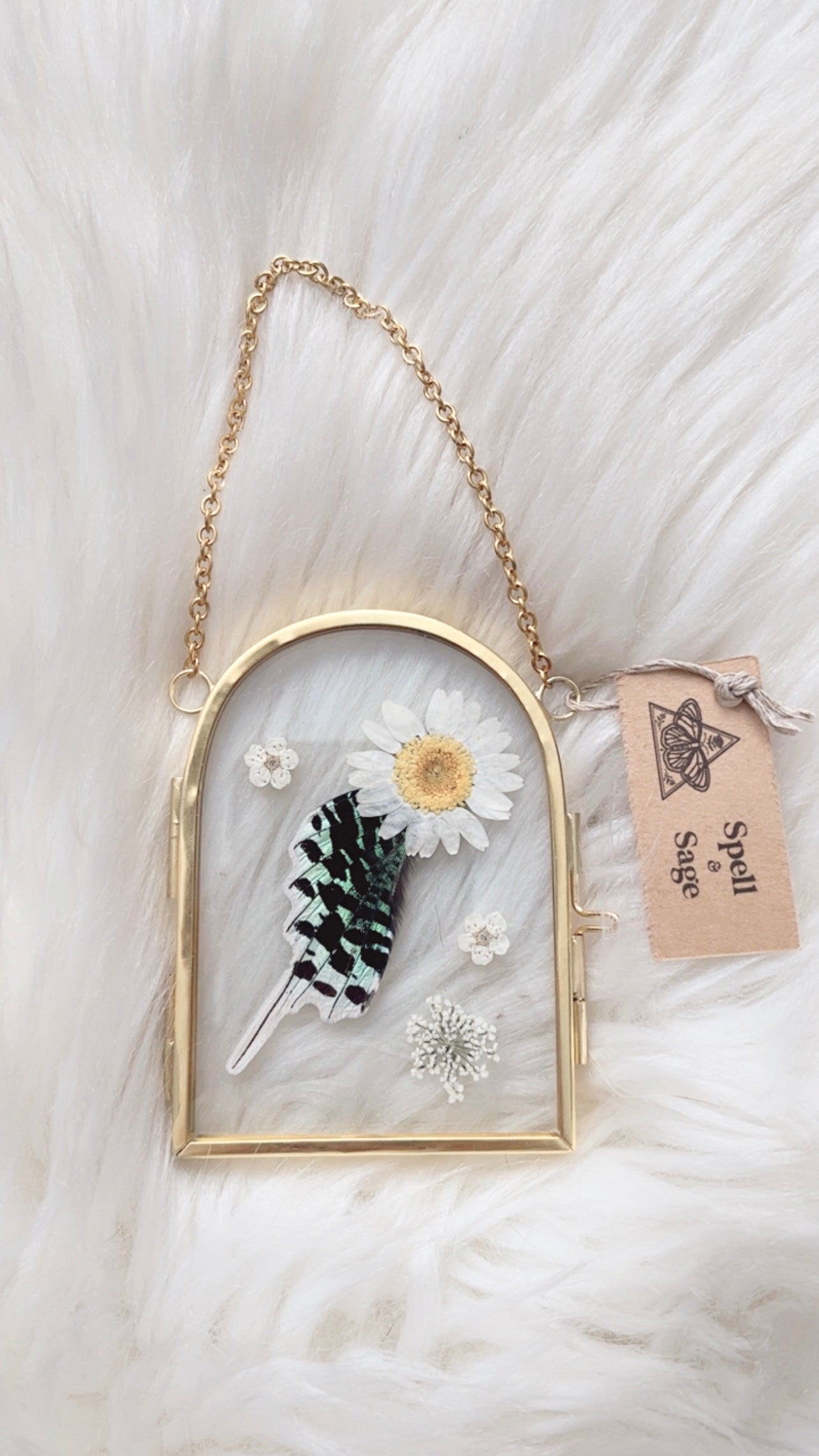 Avery Moth Floral Frame <2.5x3.5in>