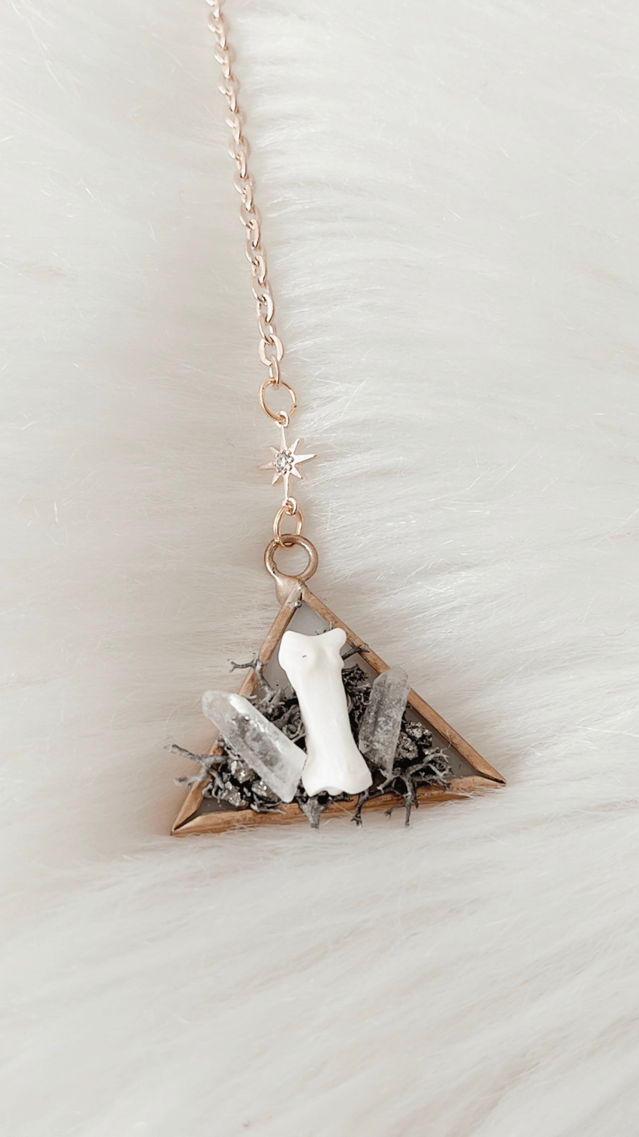 Ayita Coyote Toe Bone Stained Glass Hanging