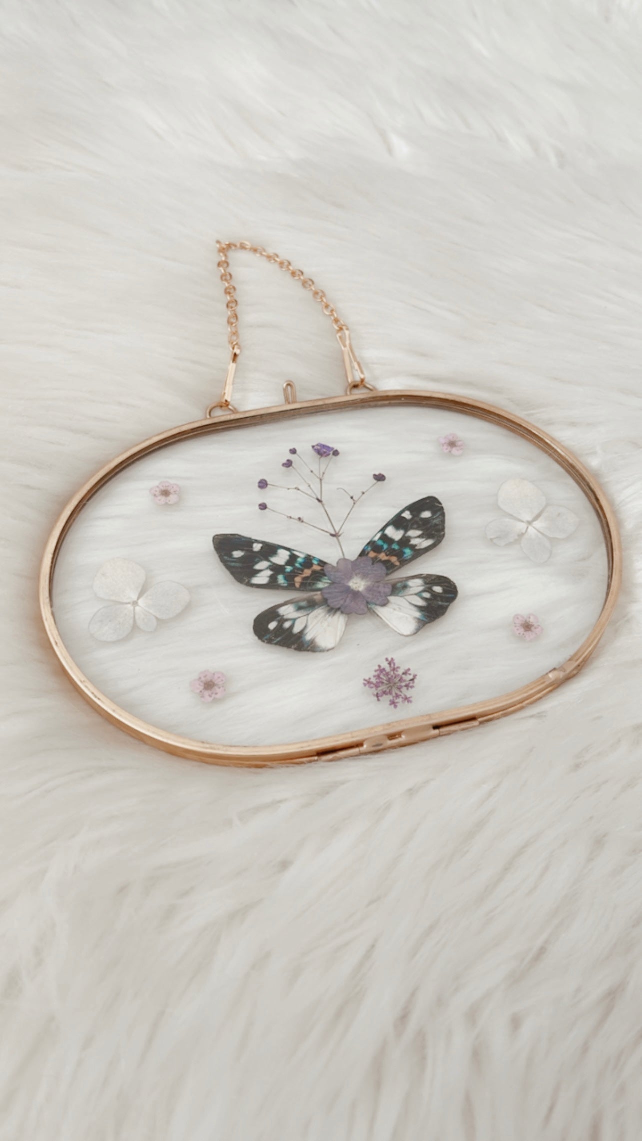 Belle Moth Floral Frame
