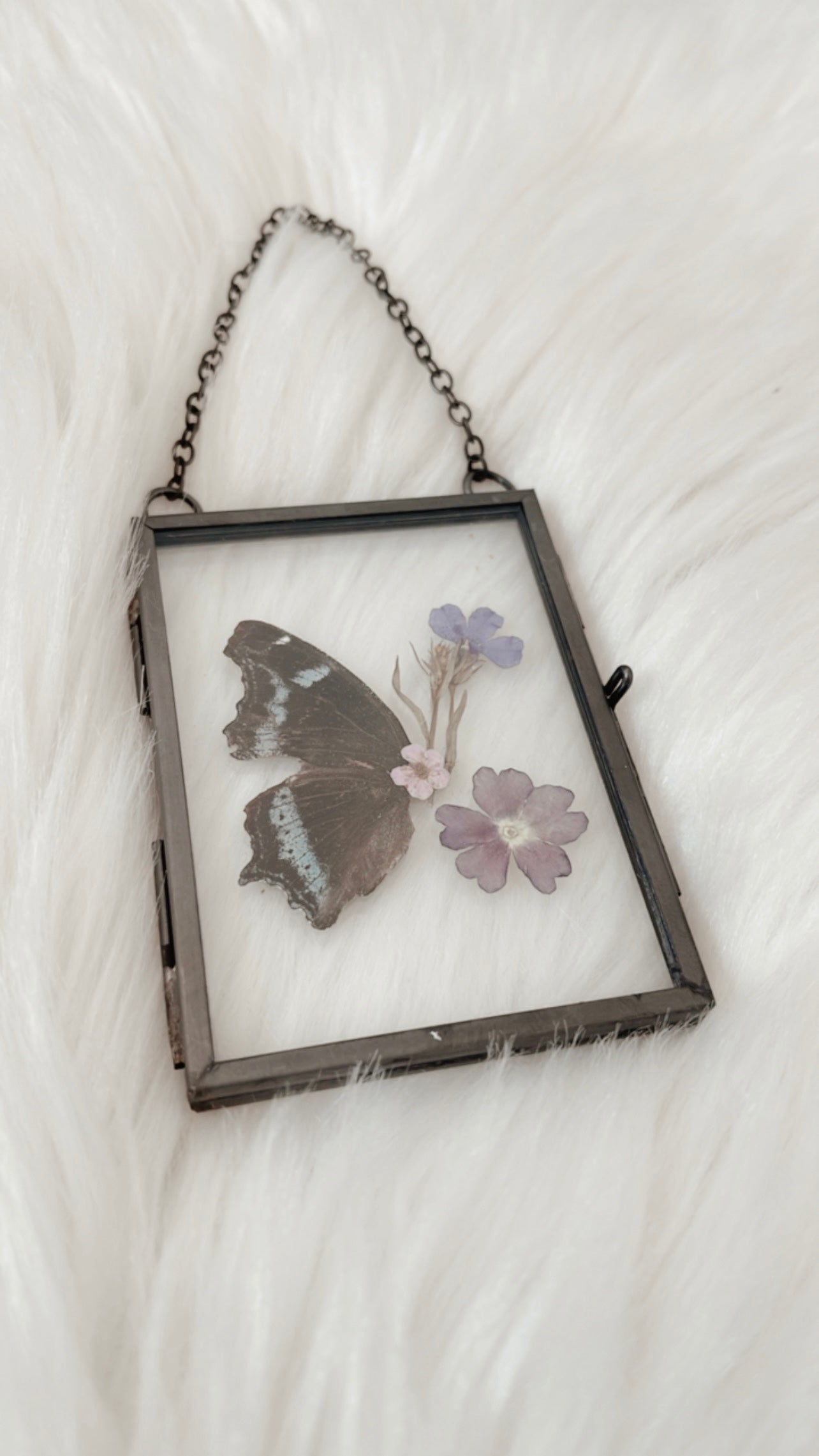 Bernadette Butterfly Floral Frame