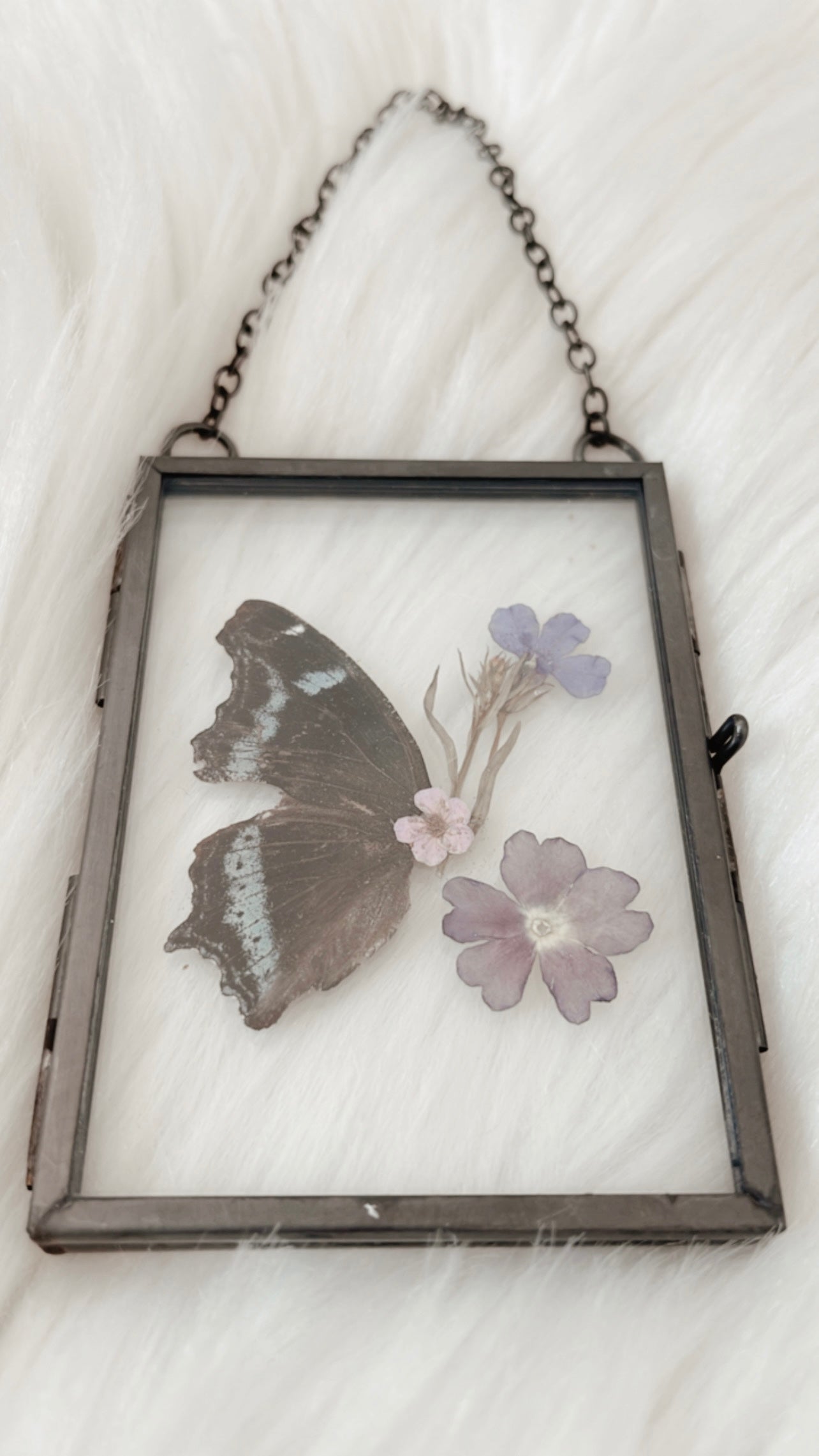 Bernadette Butterfly Floral Frame
