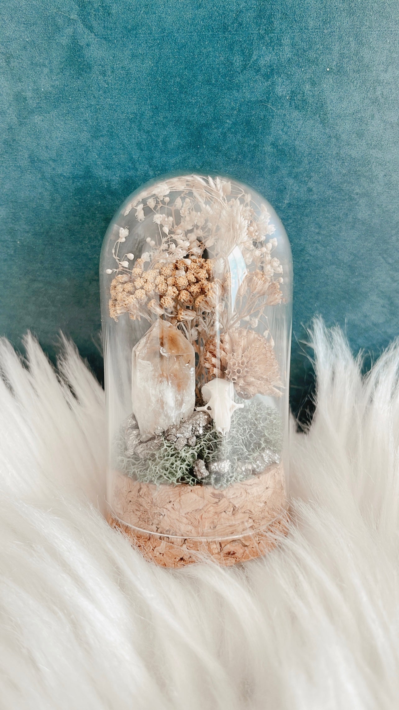 Bette Terrarium