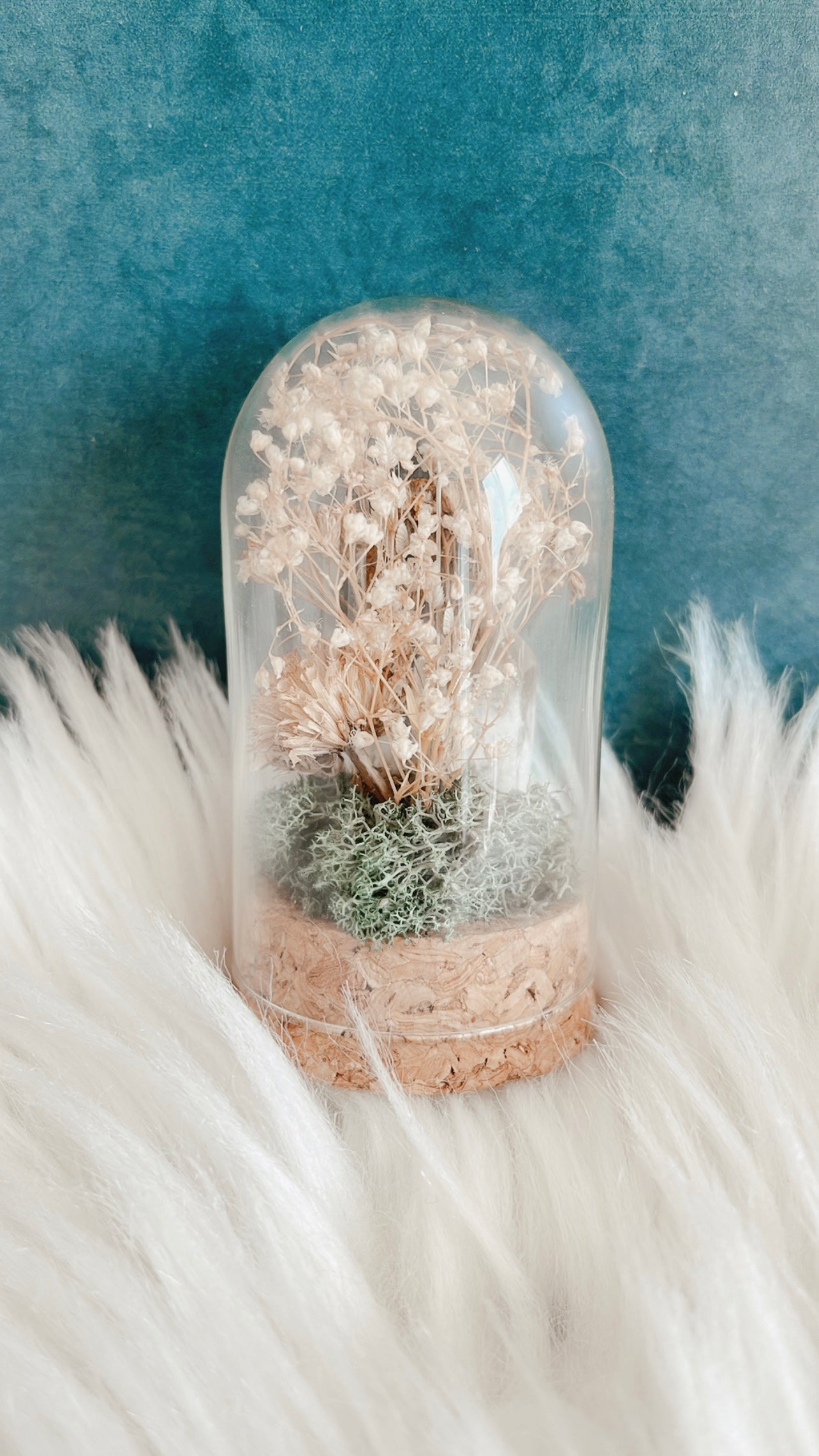 Bette Terrarium