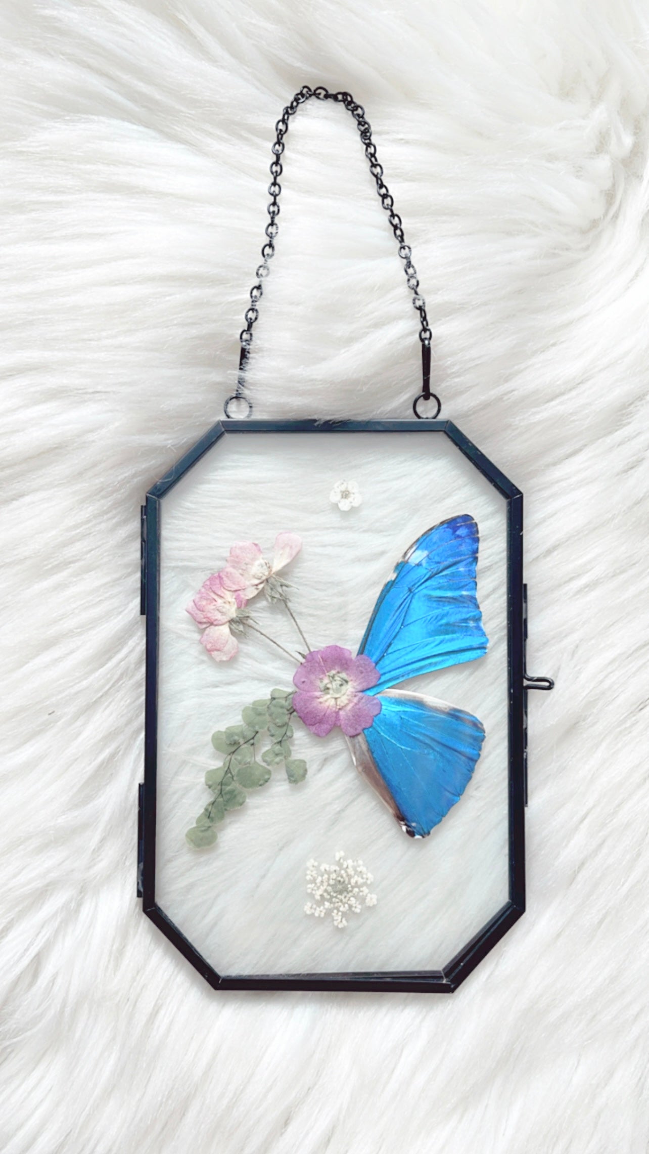 Bobette Butterfly Floral Frame