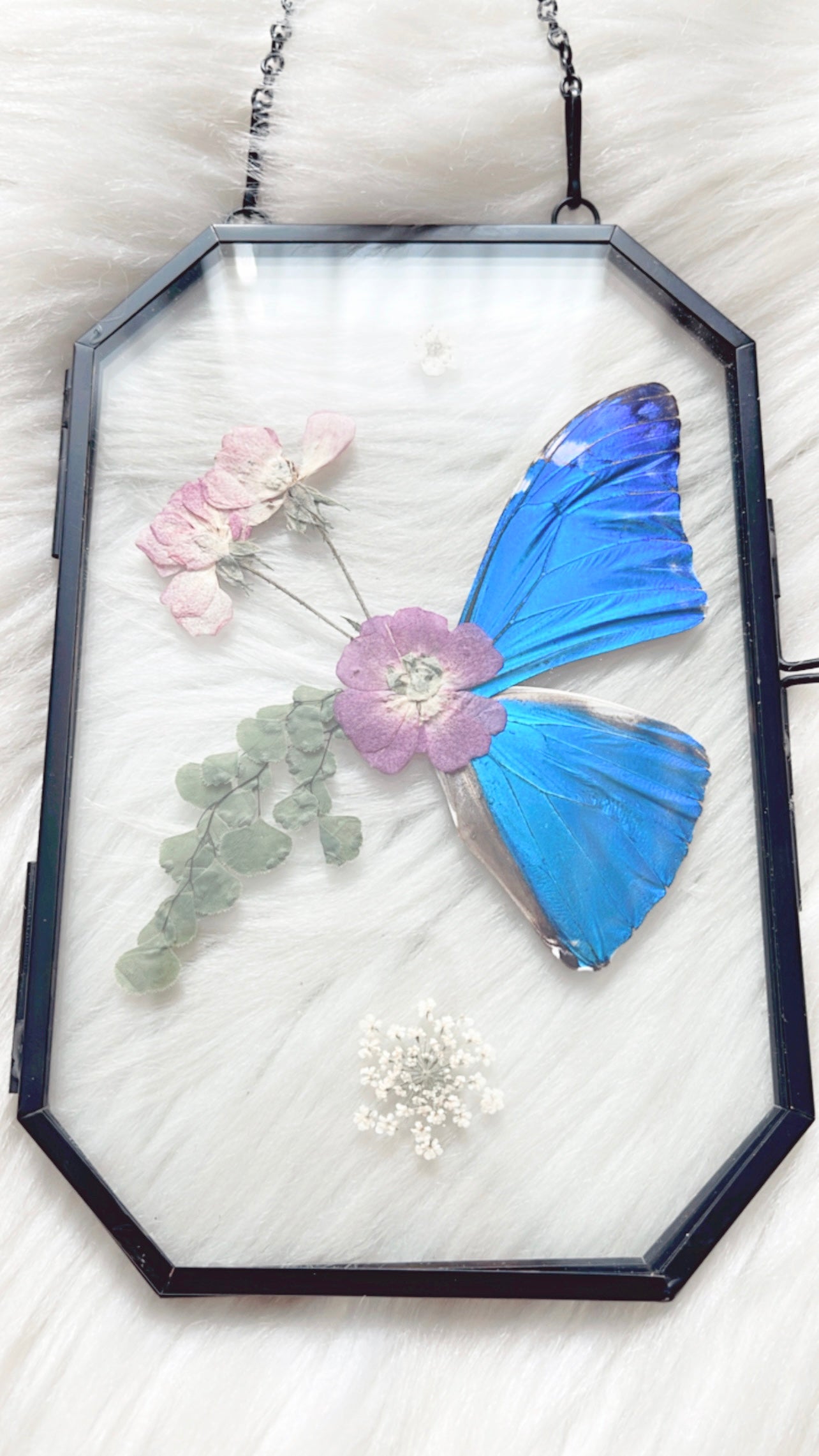 Bobette Butterfly Floral Frame
