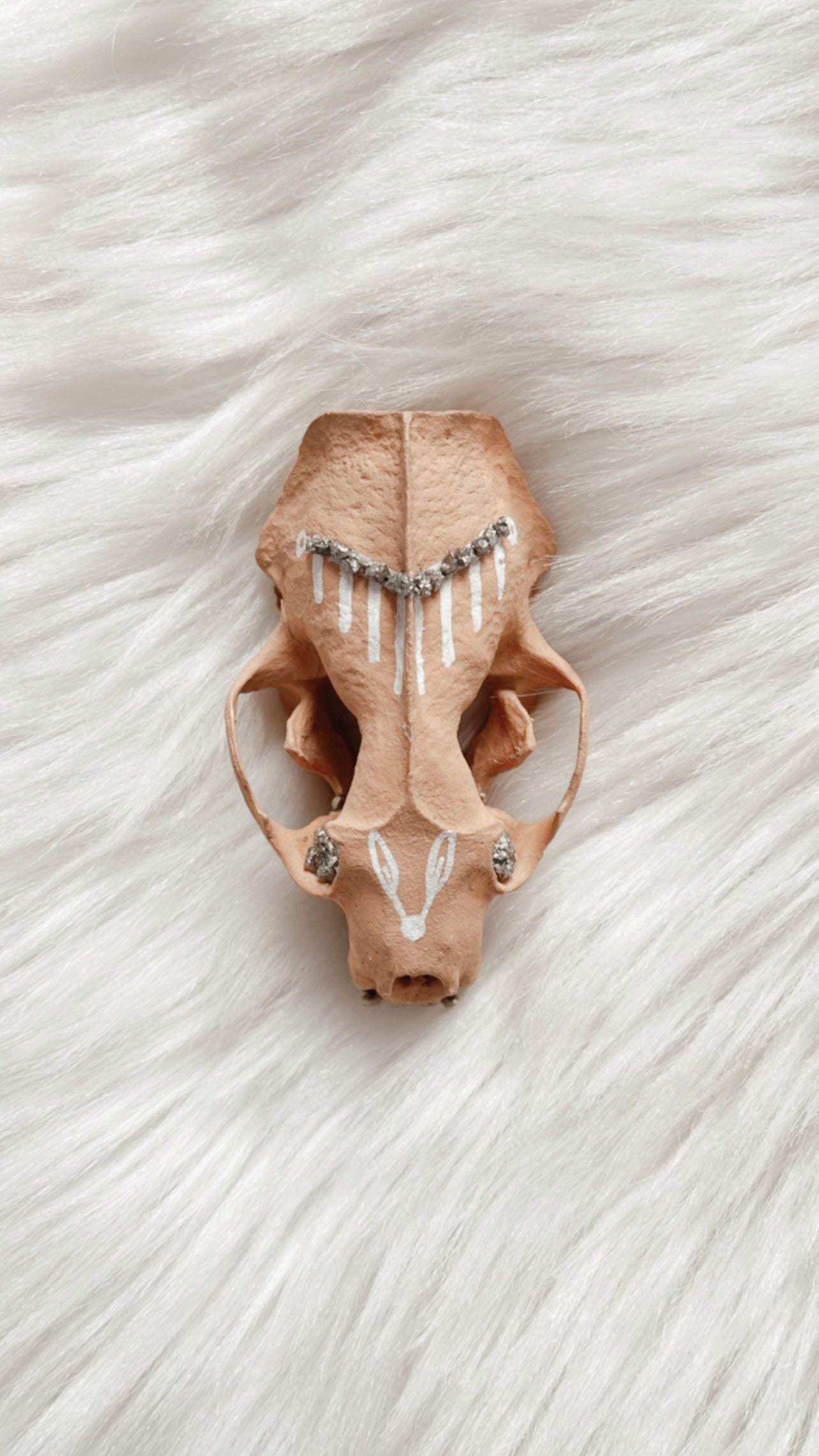 Bodhi Mink Skull