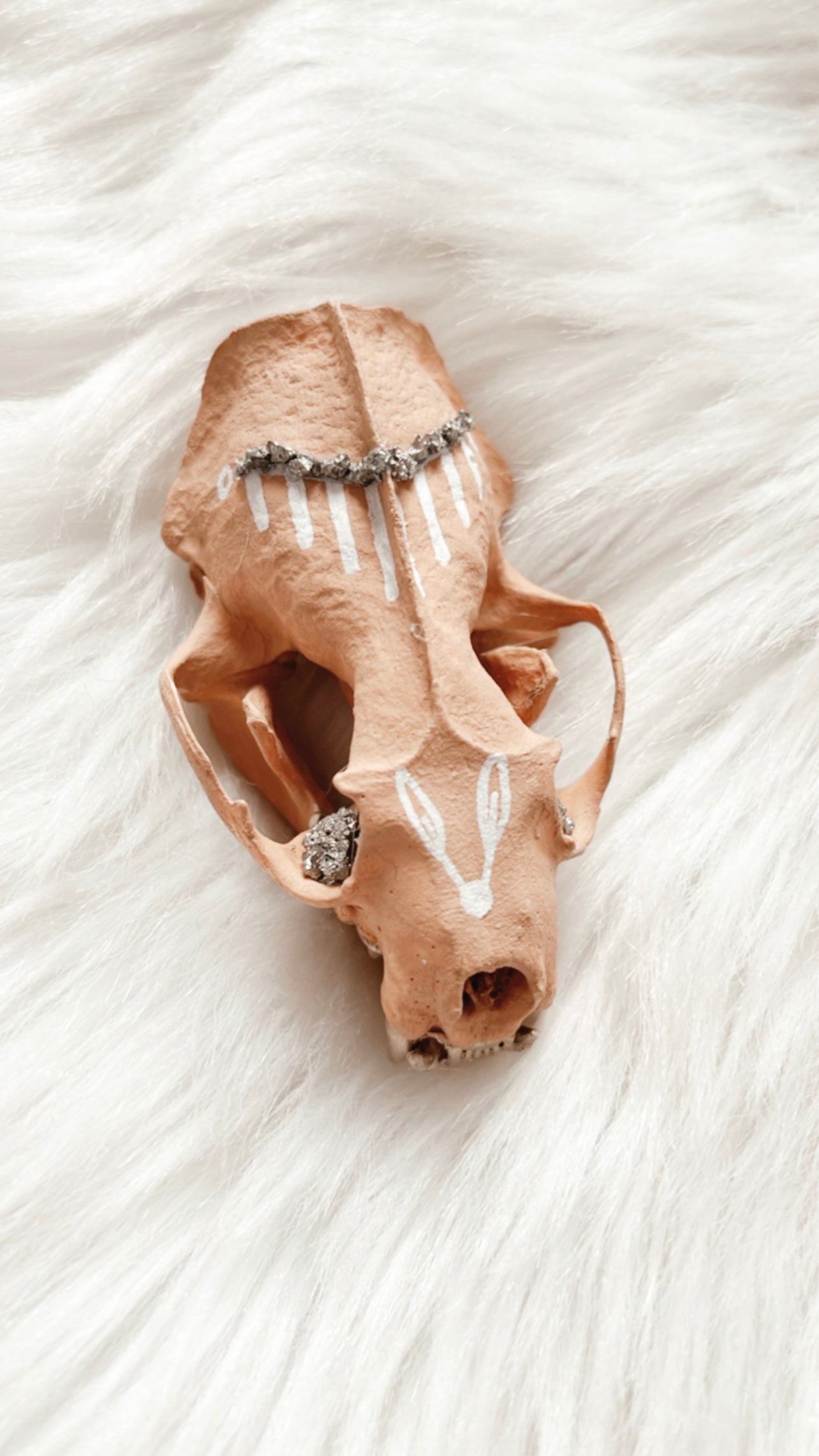 Bodhi Mink Skull