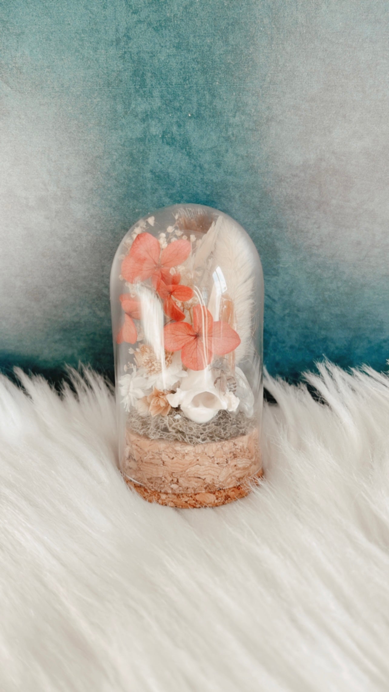 Bonnie Terrarium