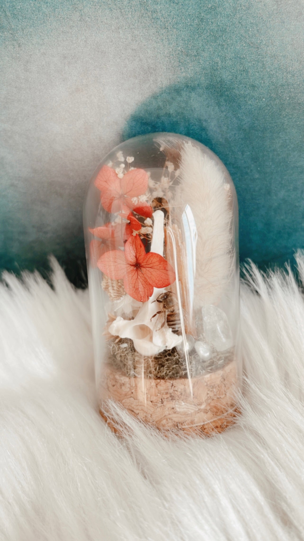 Bonnie Terrarium