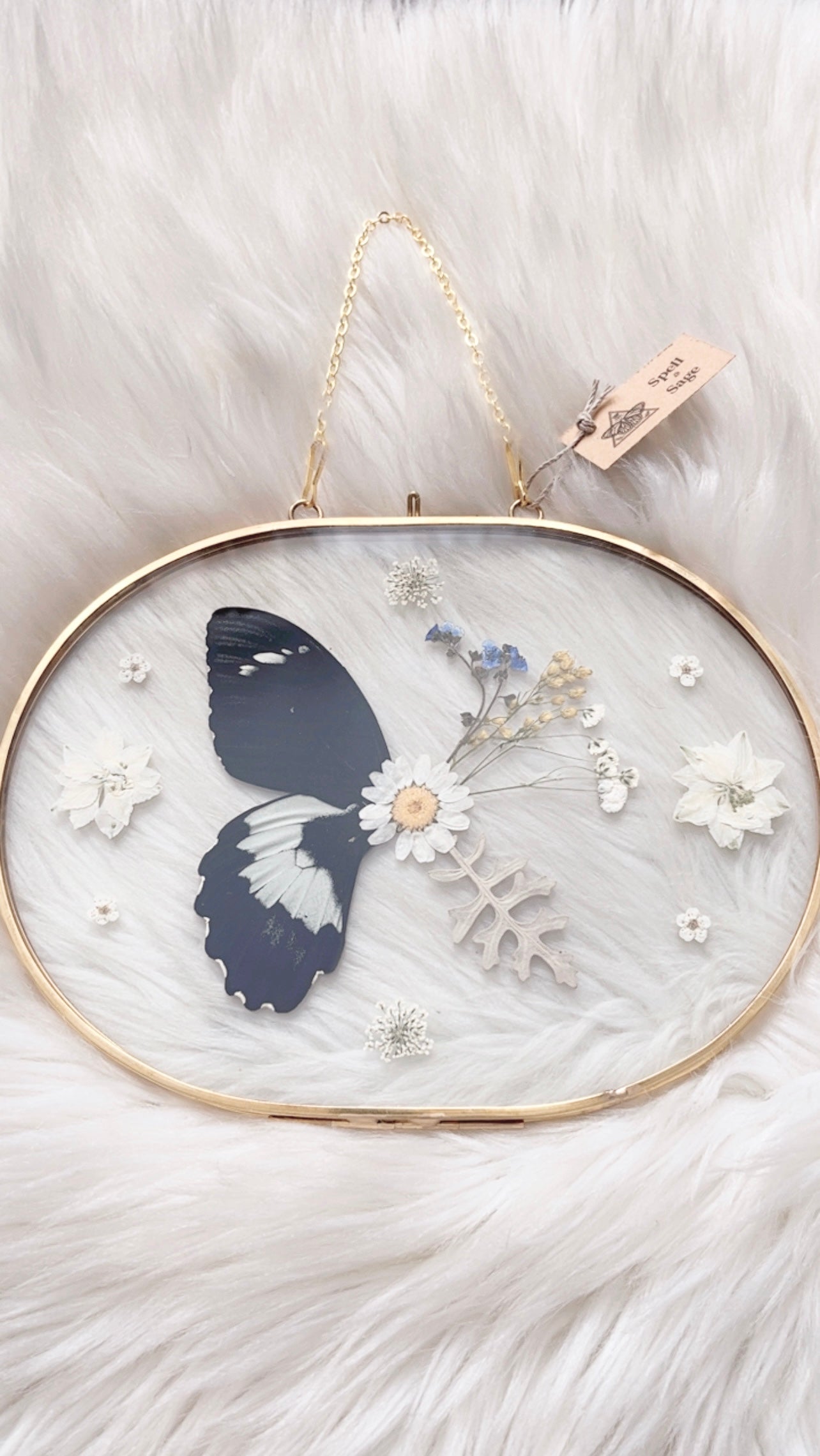 Briar Butterfly Floral Frame <8.5x6.5in>