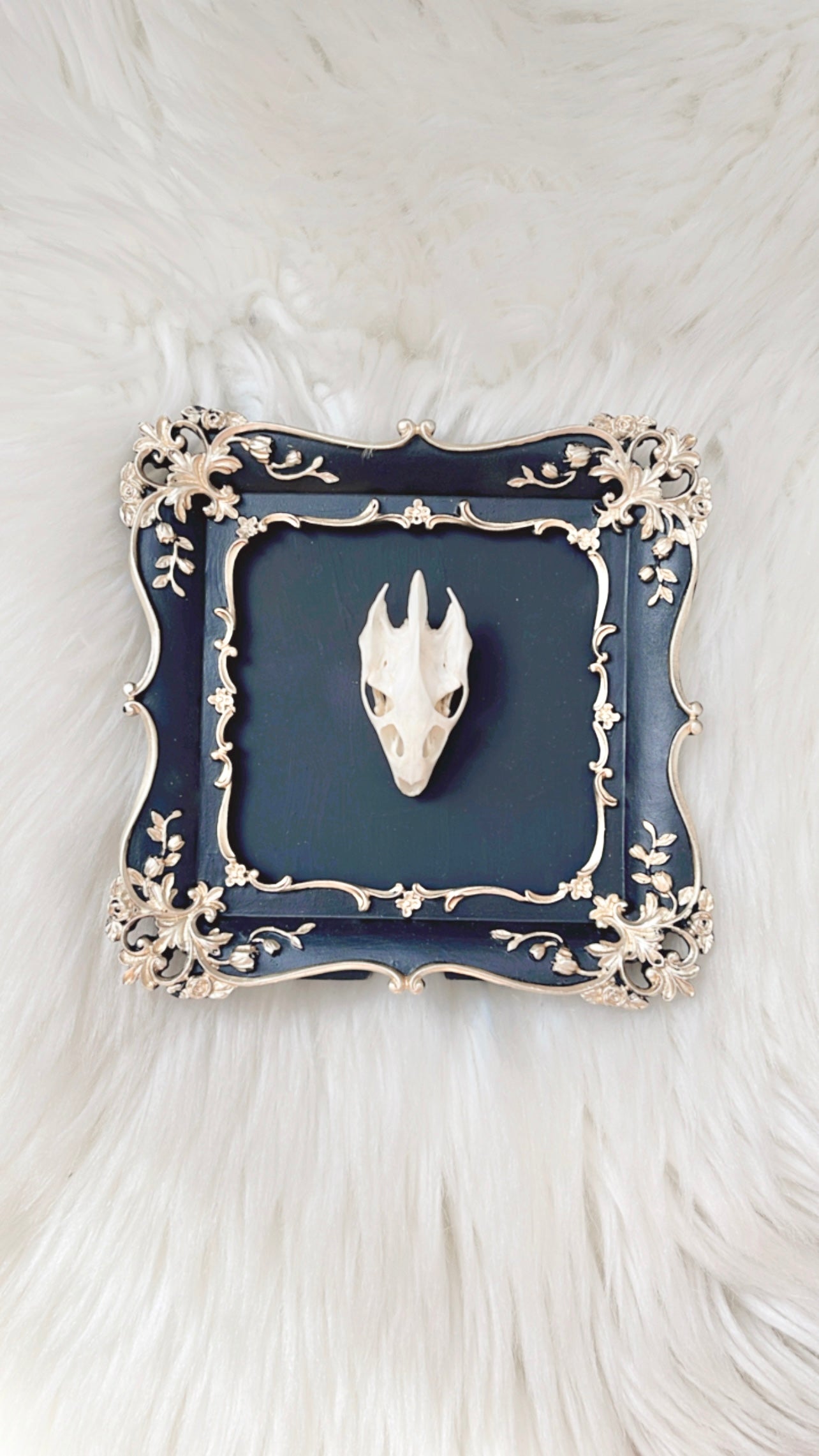 Mage Oddities Frame <Turtle Skull>