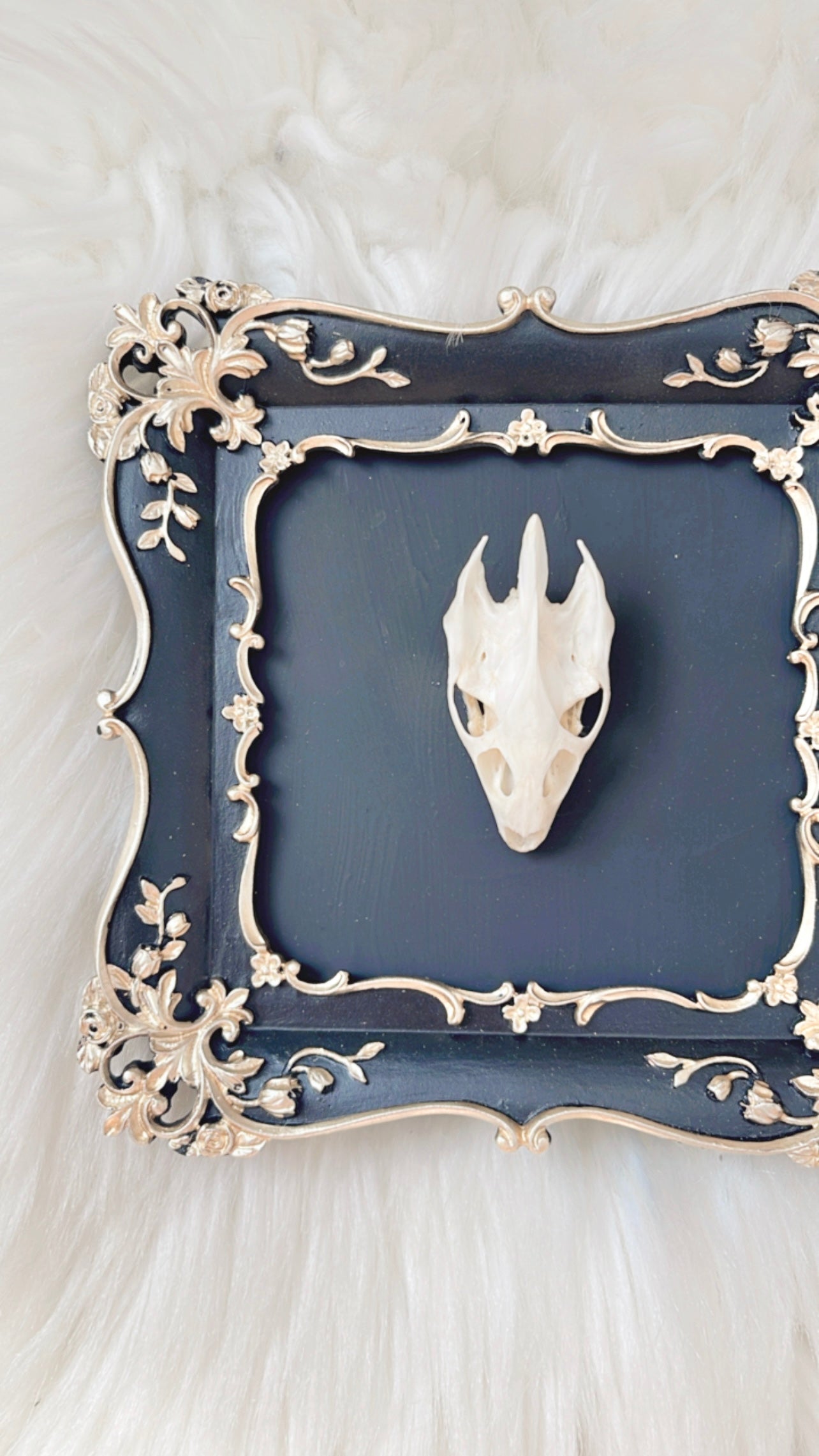 Mage Oddities Frame <Turtle Skull>