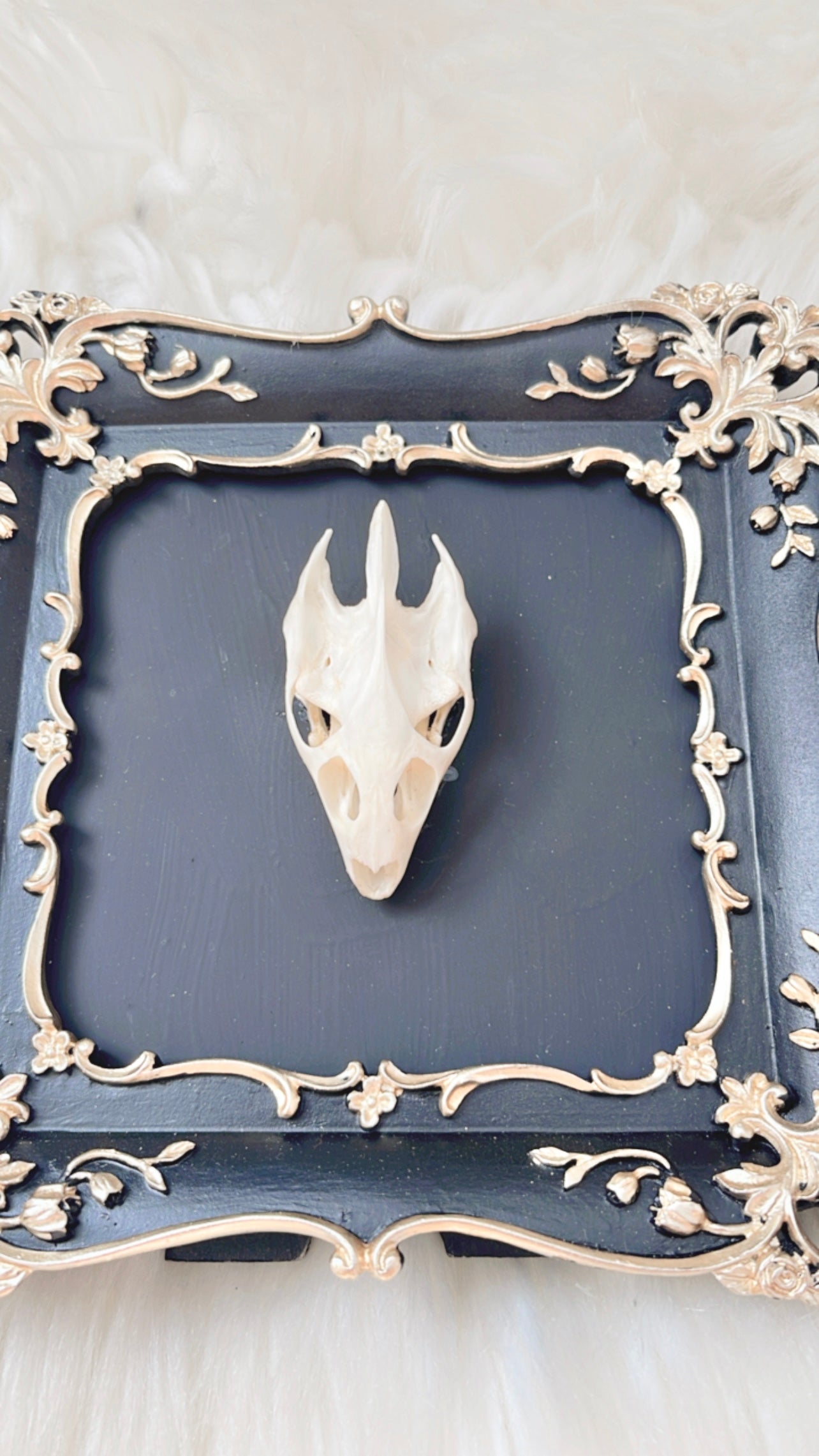 Mage Oddities Frame <Turtle Skull>