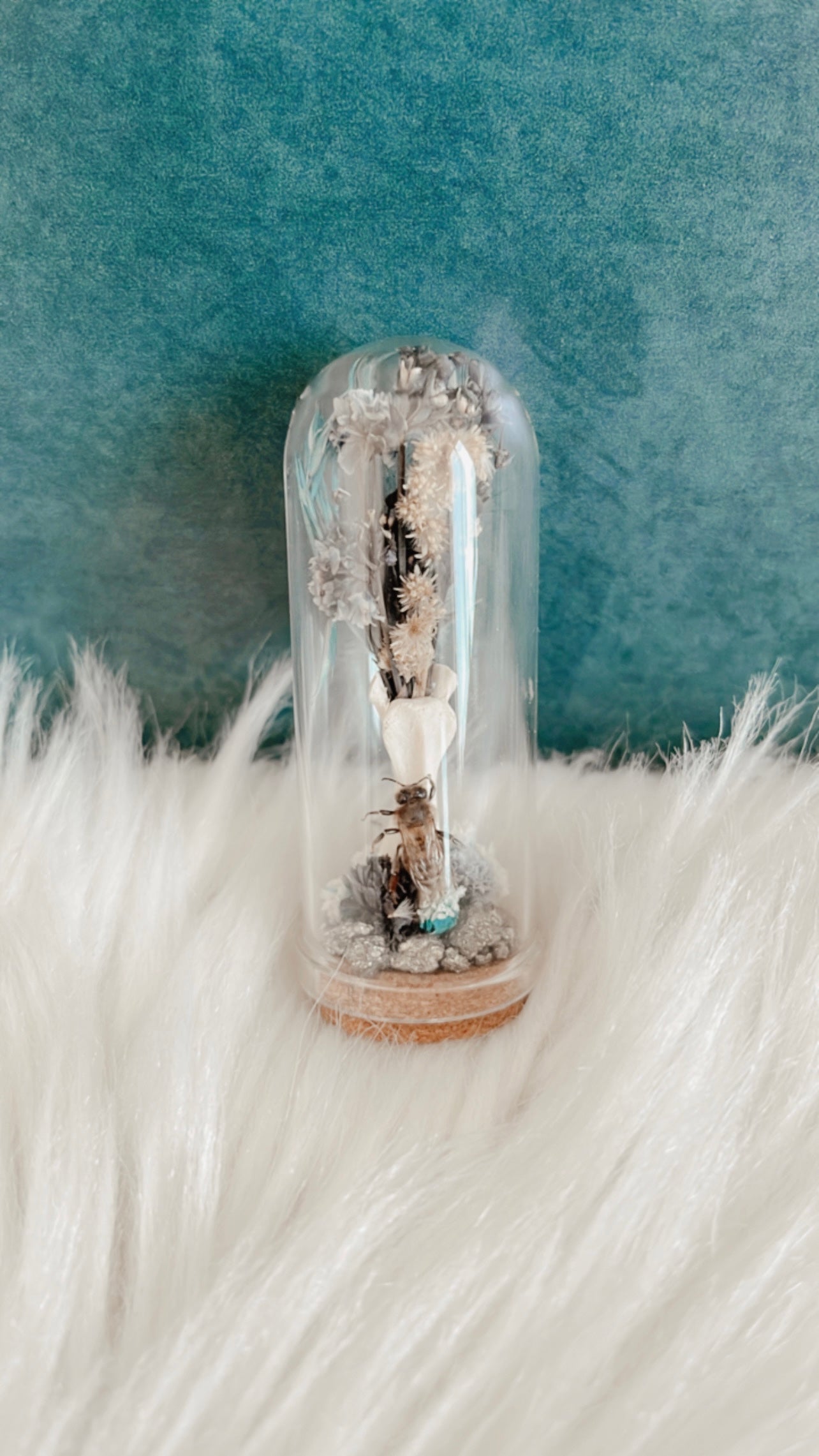 Brielle Terrarium