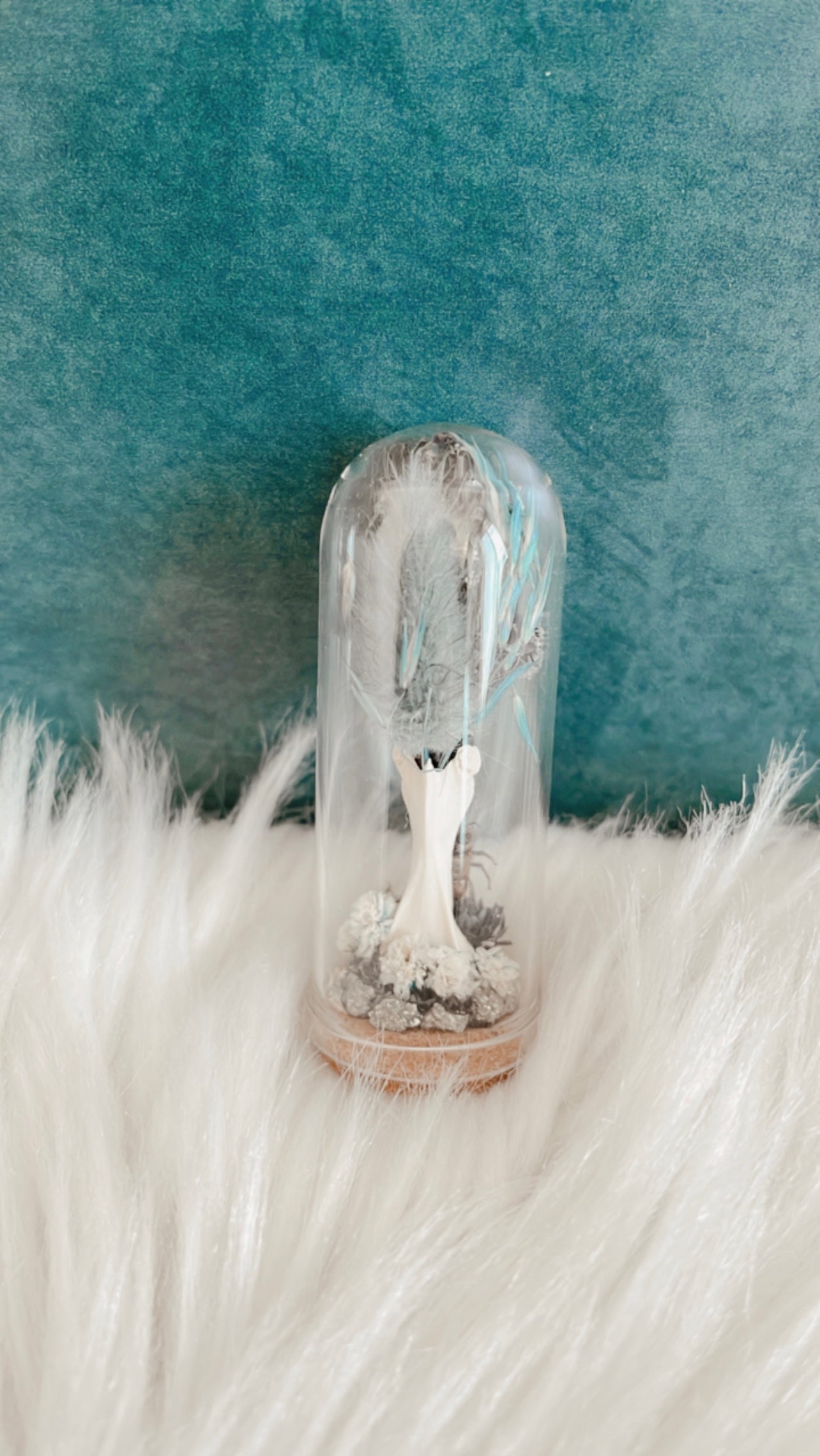 Brielle Terrarium