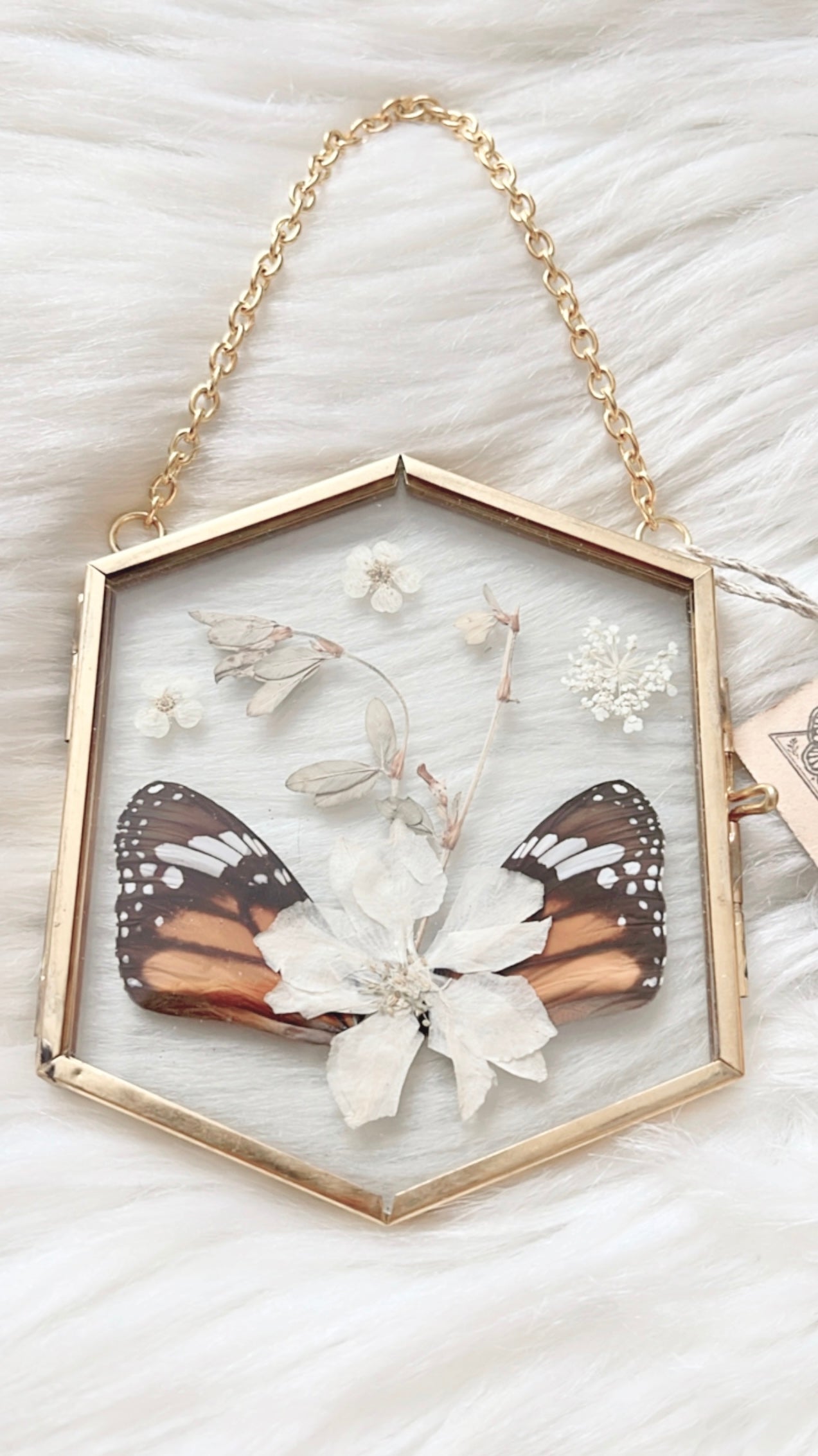 Cacia Butterfly Floral Frame <3.25x3.75in>