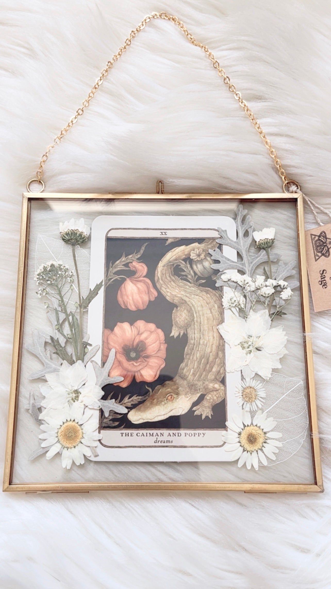The Caiman and Poppy Oracle Floral Frame