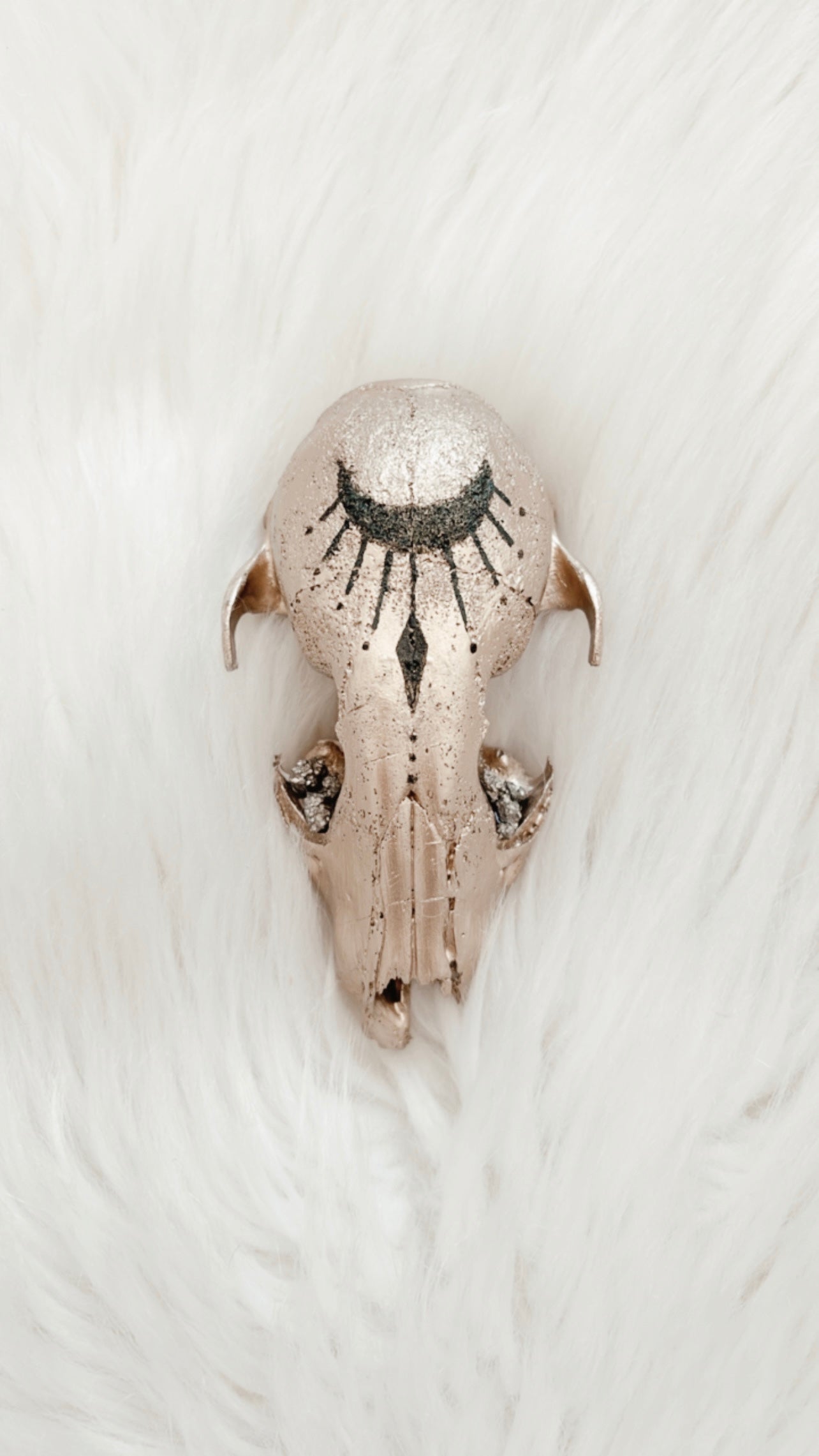 Caius Raccoon Skull