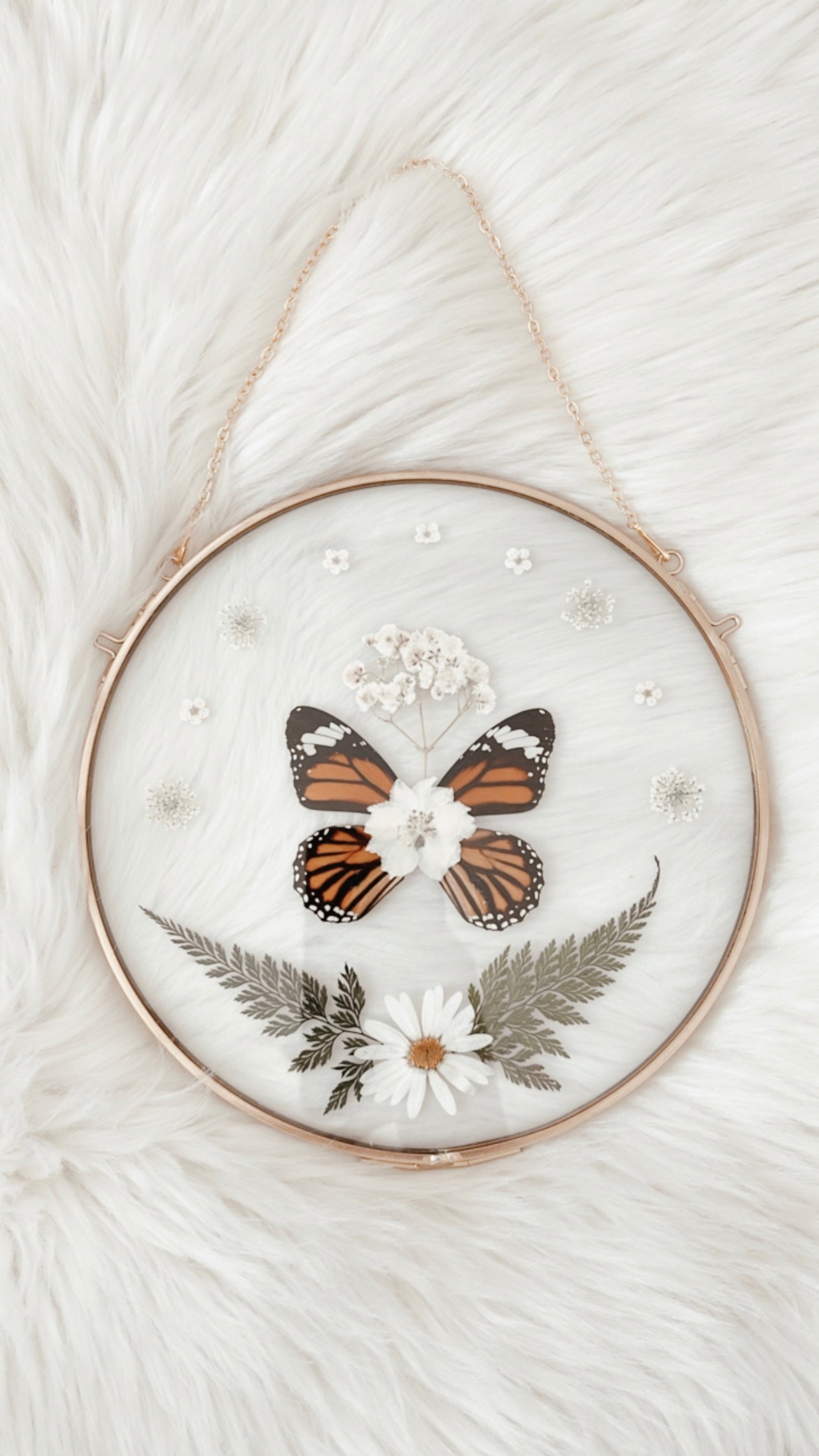 Camille Butterfly Floral Frame
