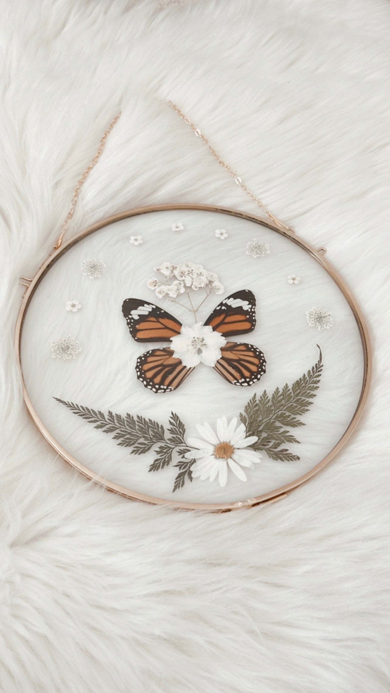 Camille Butterfly Floral Frame