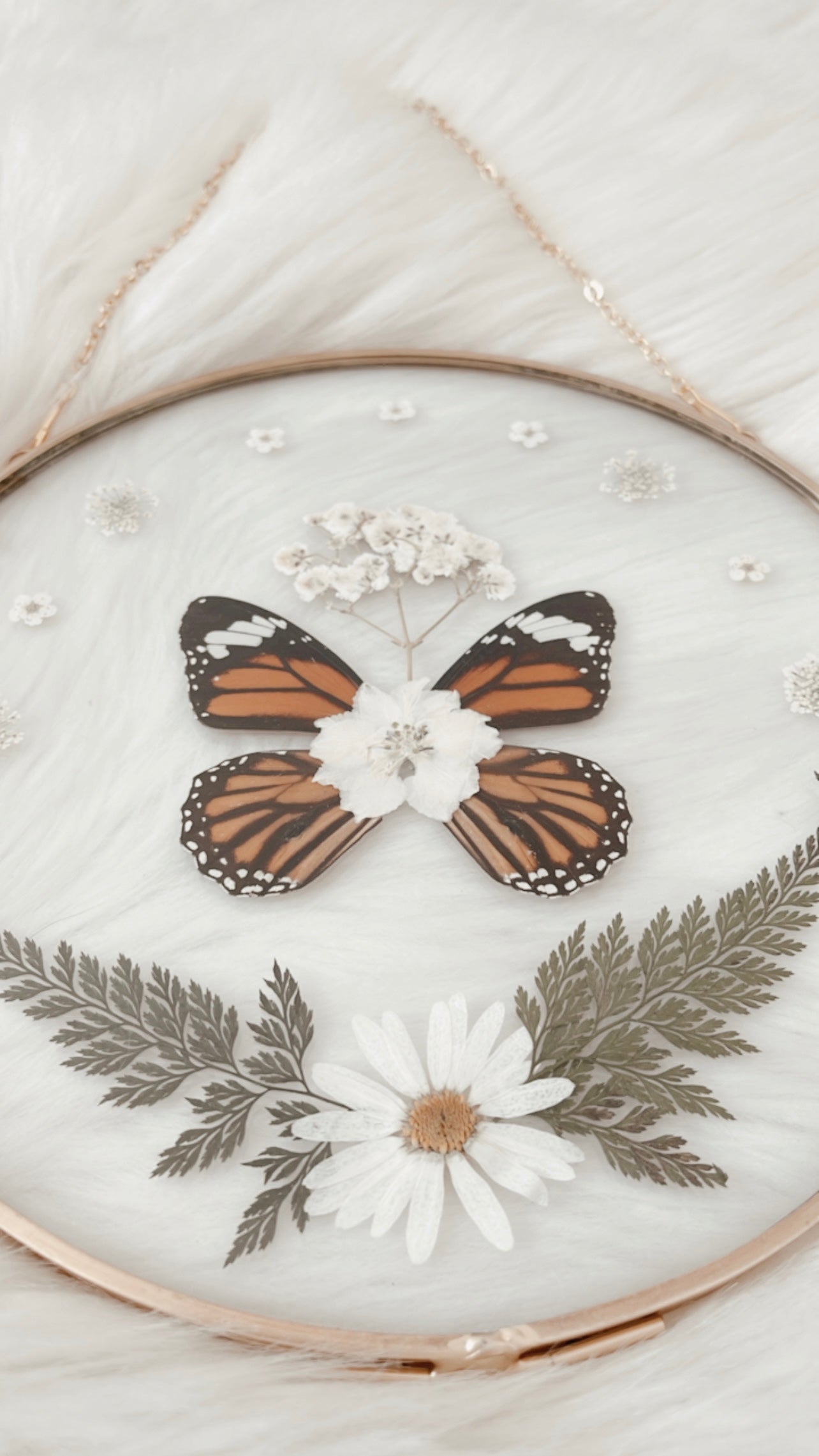 Camille Butterfly Floral Frame