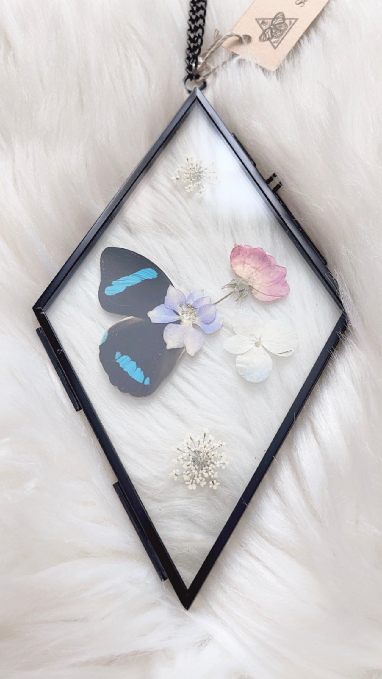Carly Butterfly Floral Frame <4x6.75in>