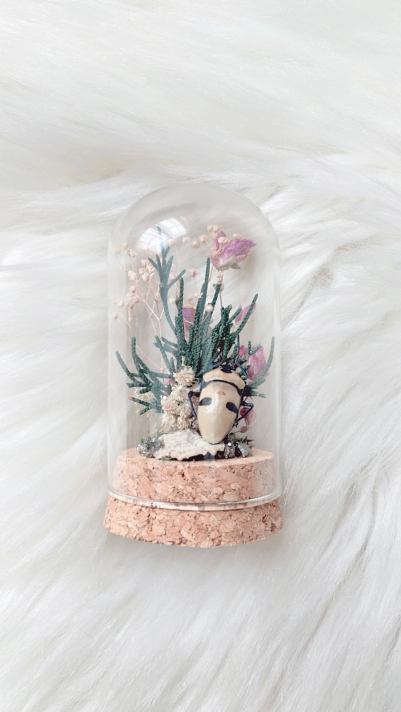 Carly Terrarium