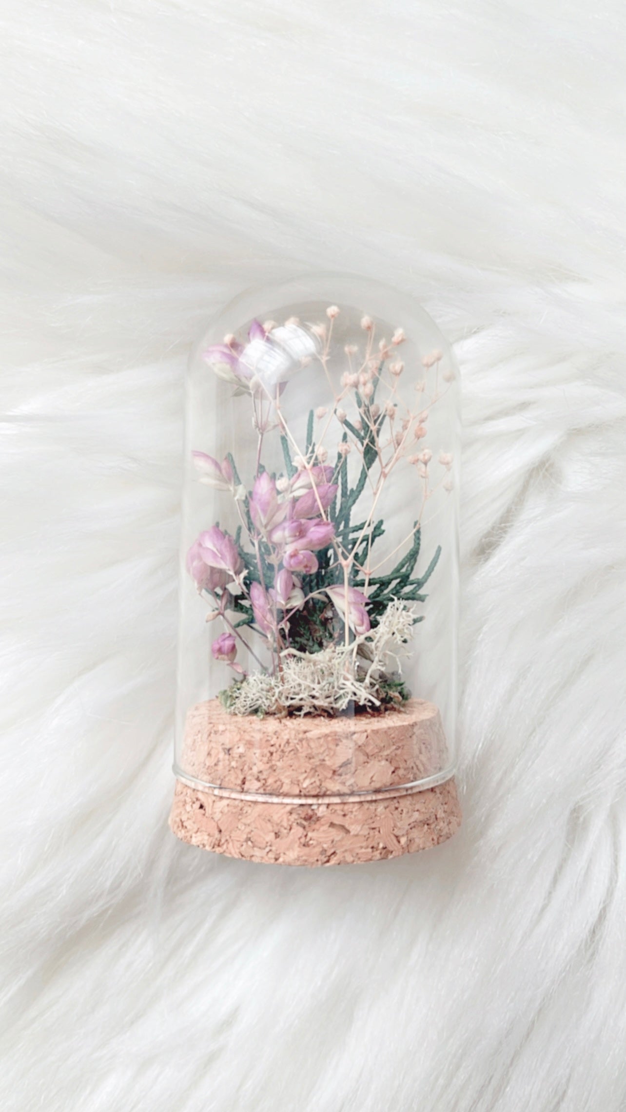 Carly Terrarium