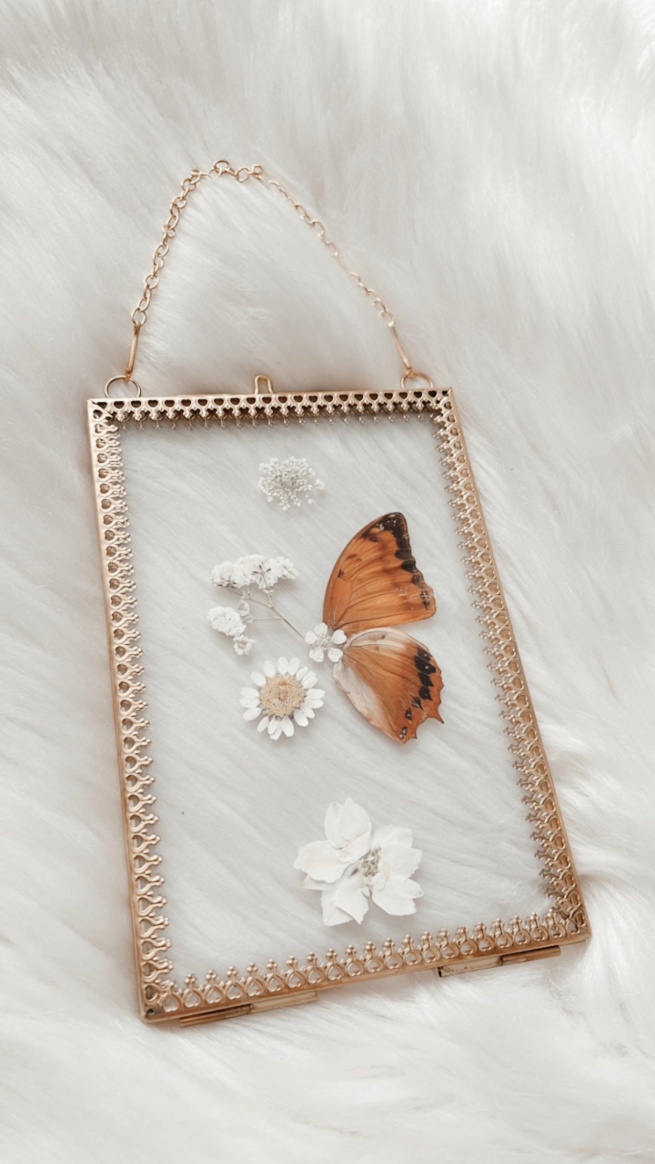 Celine Butterfly Floral Frame <4x6in>
