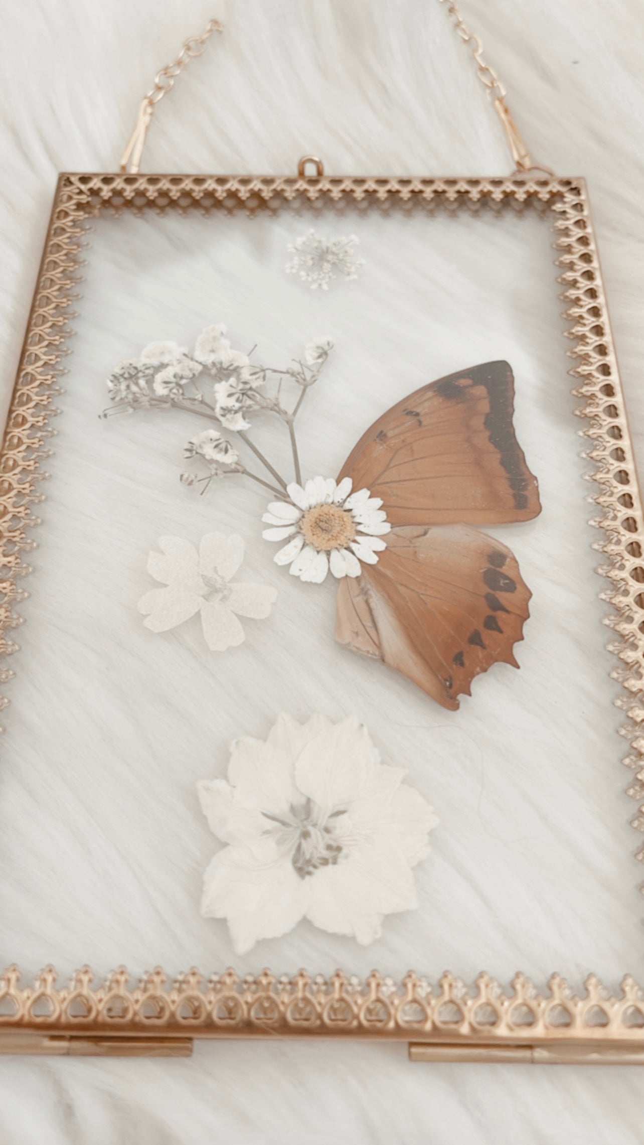Celine Butterfly Floral Frame