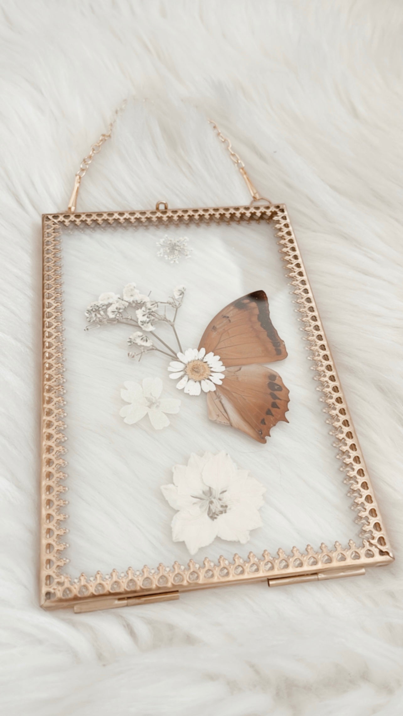 Celine Butterfly Floral Frame