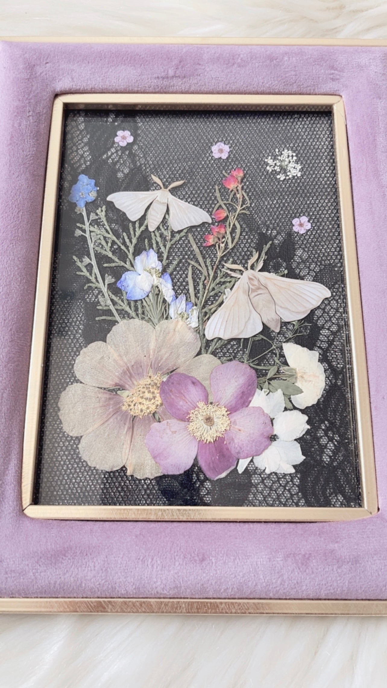Charlotte Paper Replica Ornate Frame