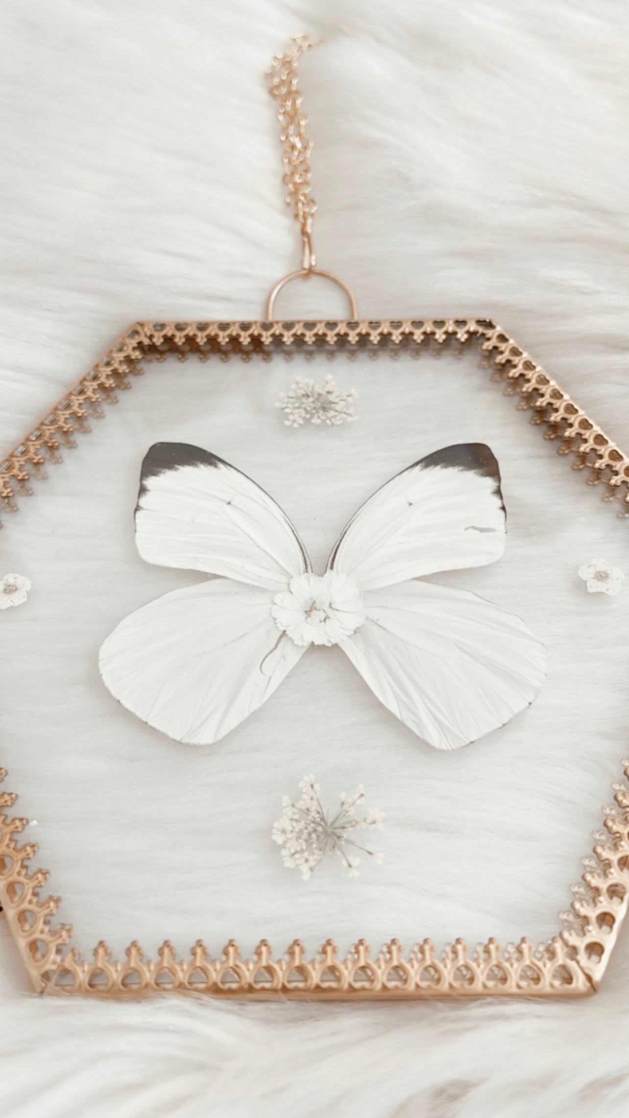 Chloe Butterfly Floral Frame