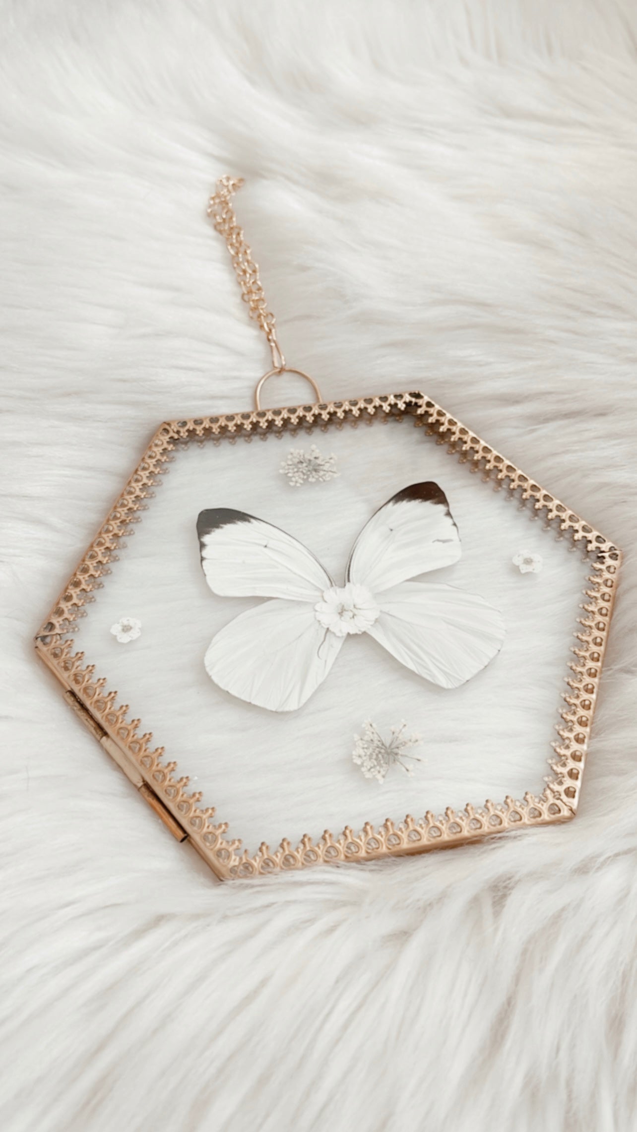 Chloe Butterfly Floral Frame