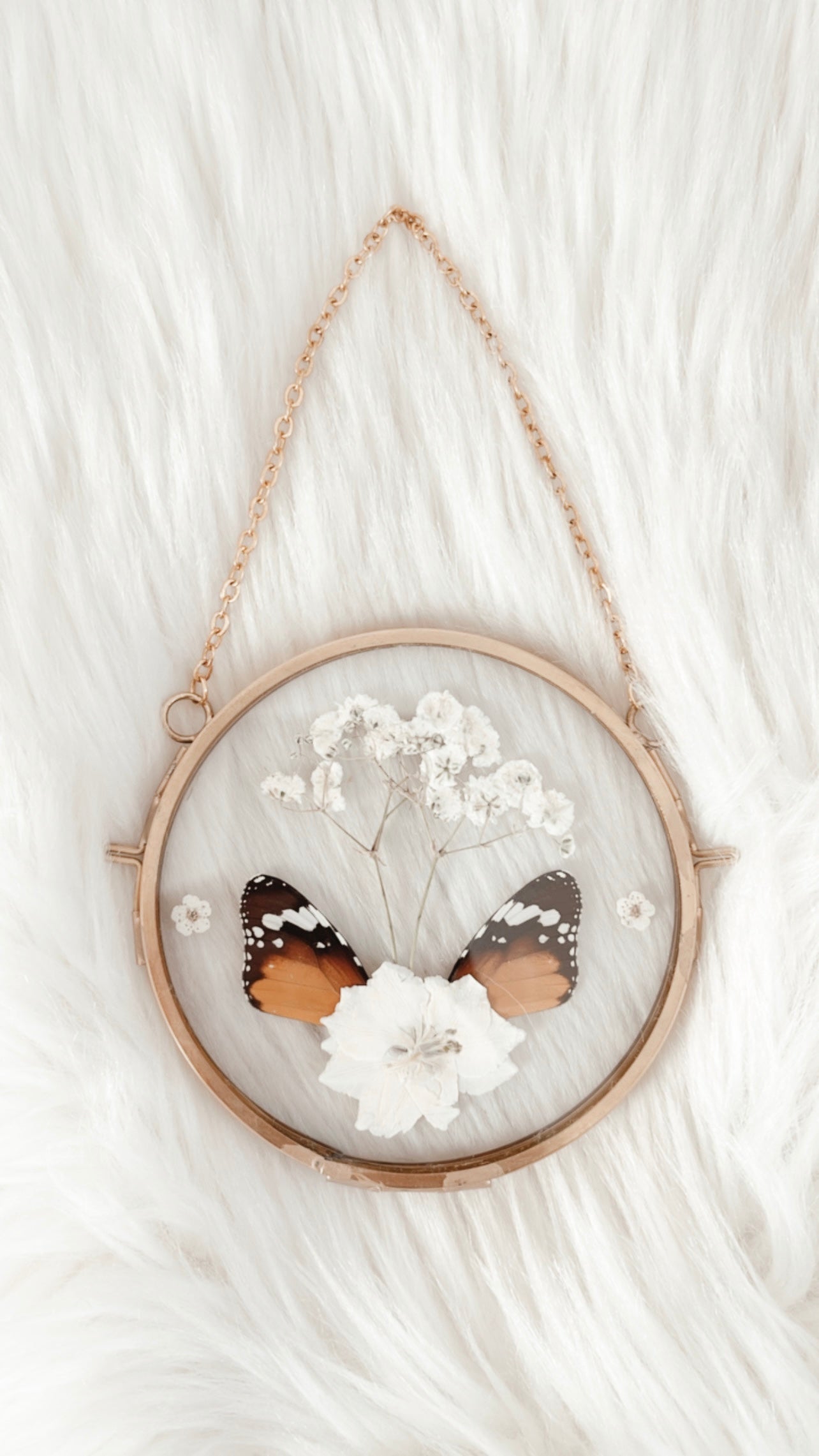 Clarissa Butterfly Floral Frame