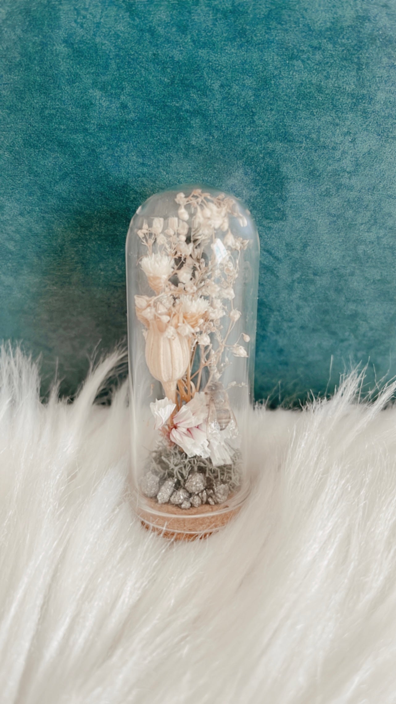 Clarisse Terrarium