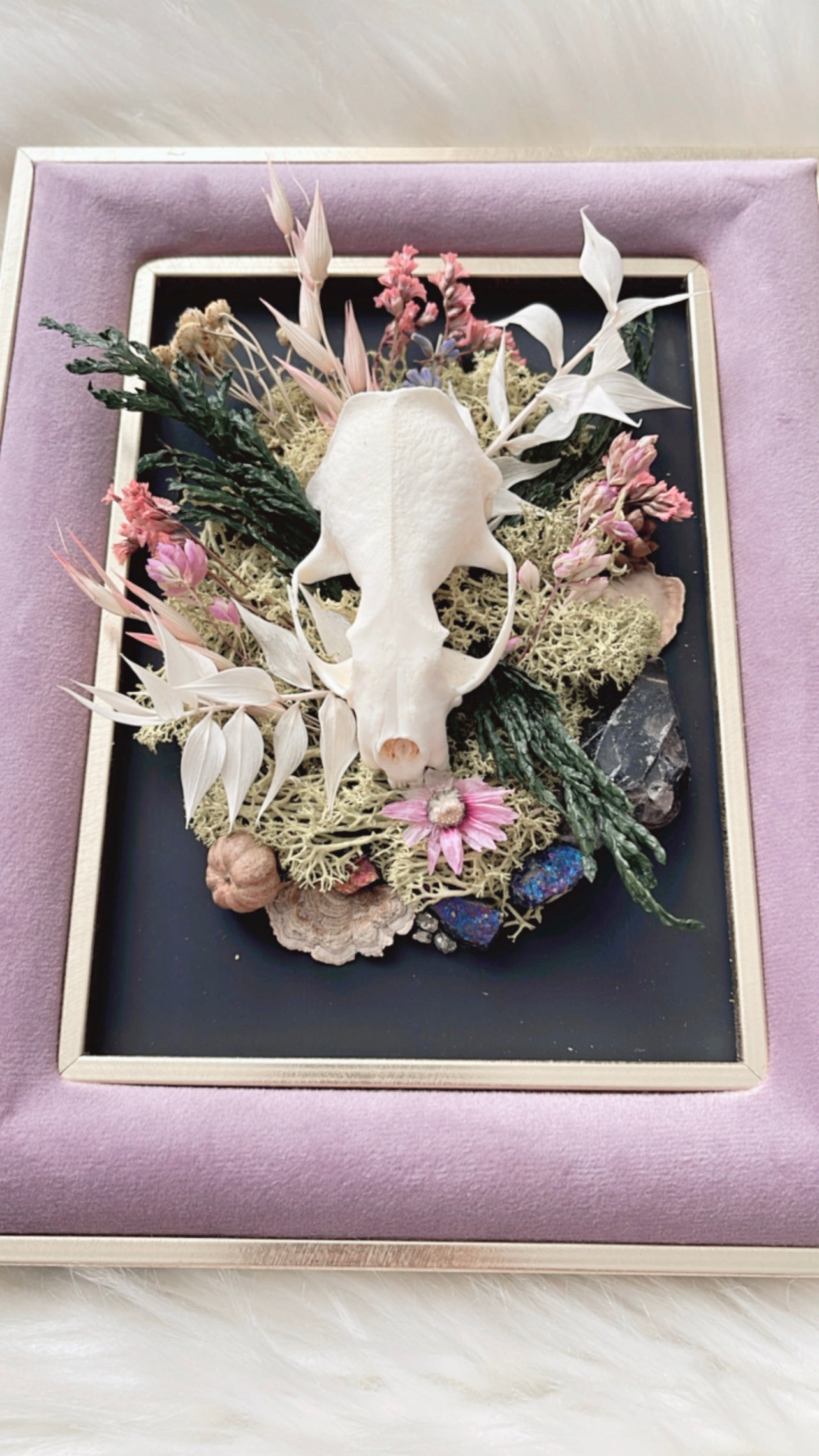 Constance Oddities Frame <Mink Skull>
