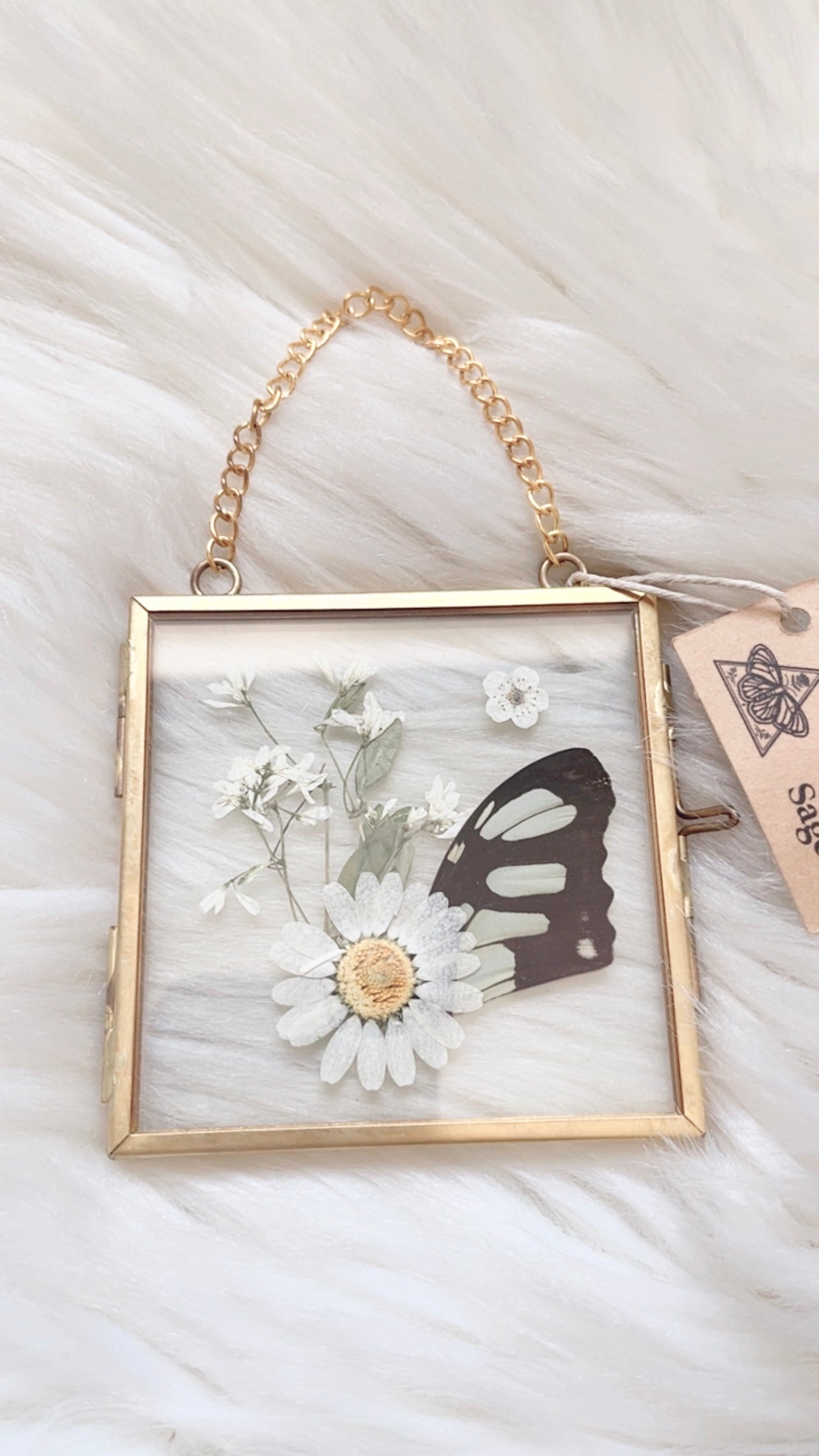 Cora Butterfly Floral Frame <3x3in>