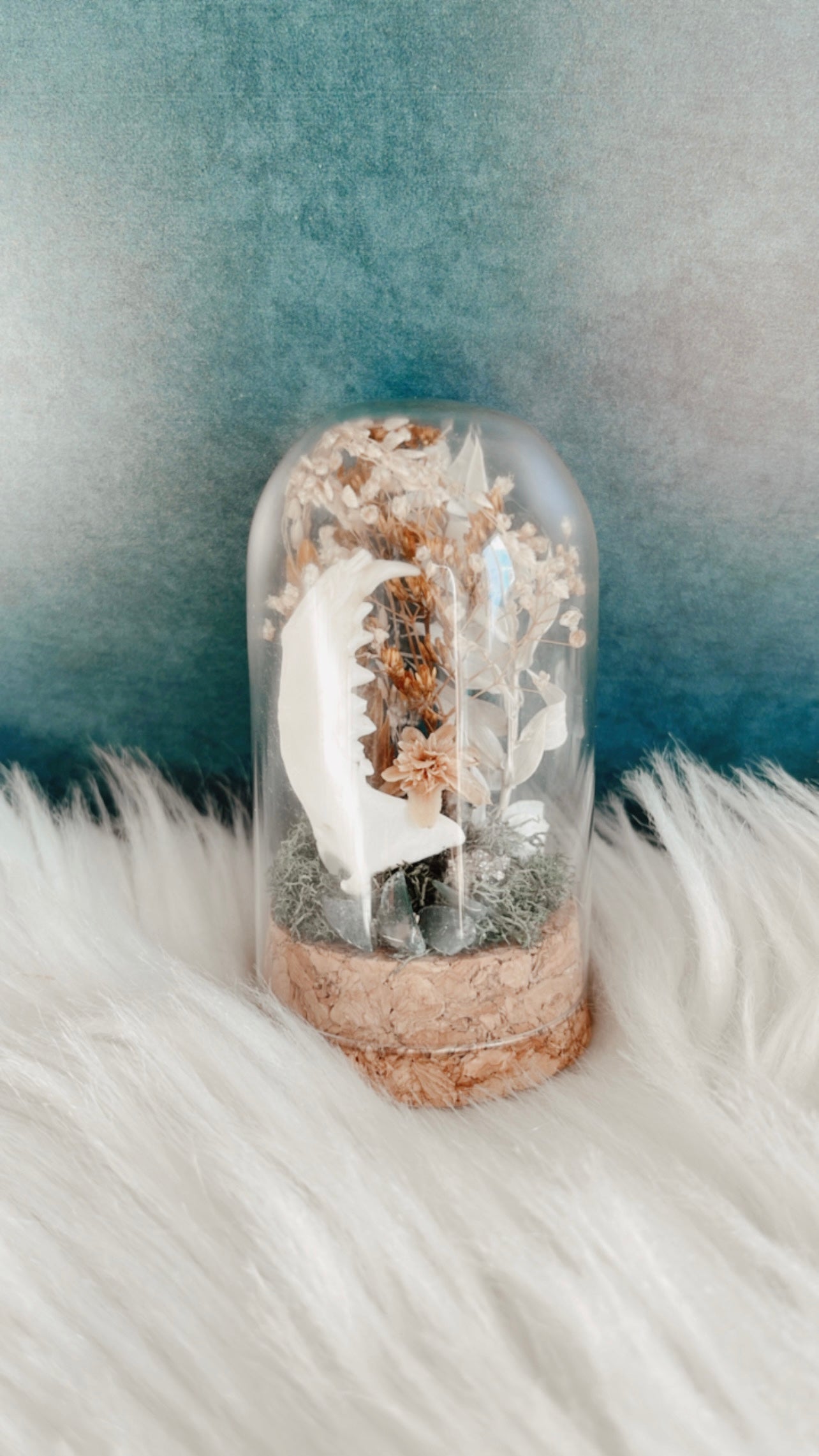 Cordelia Terrarium