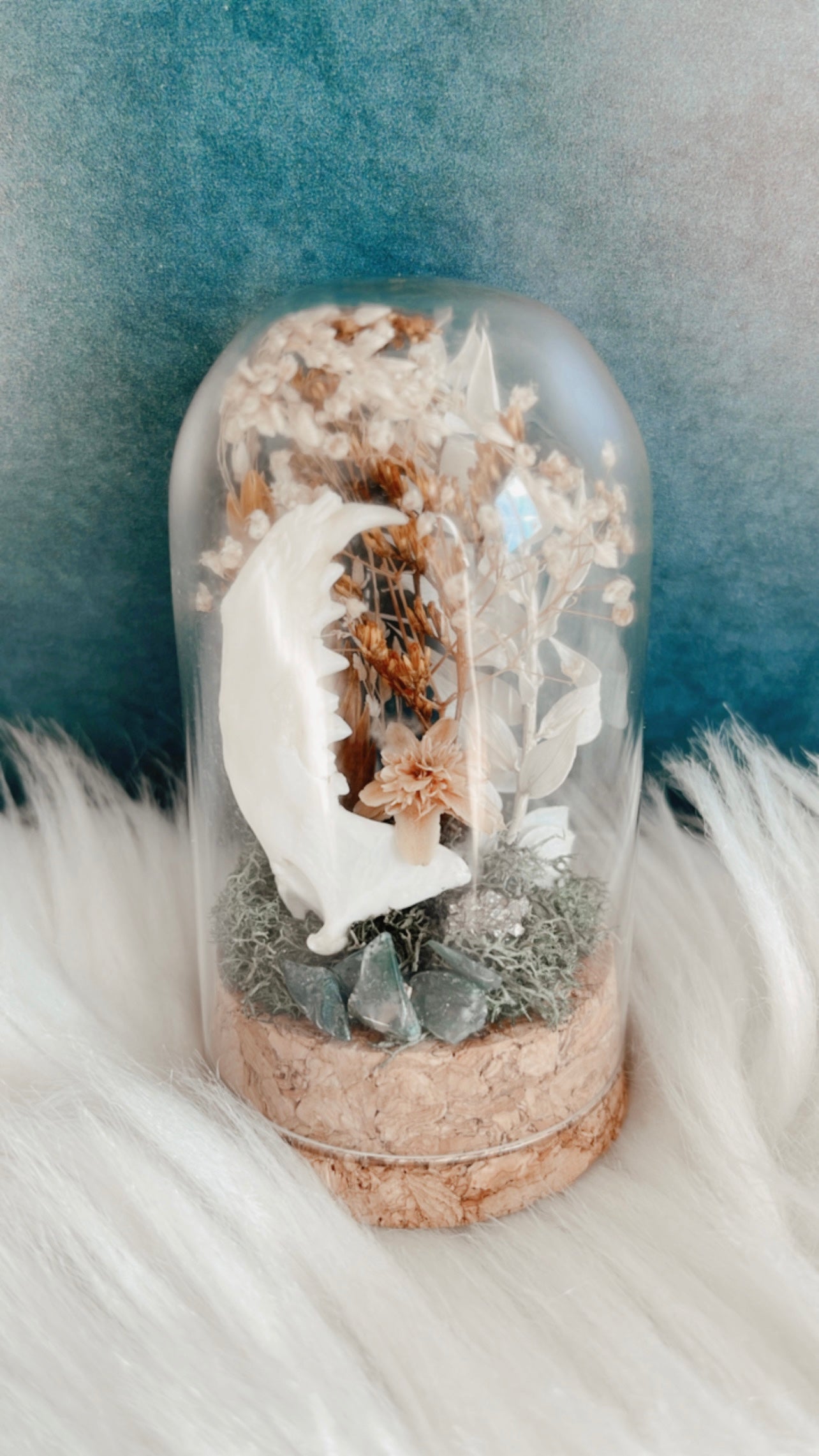 Cordelia Terrarium