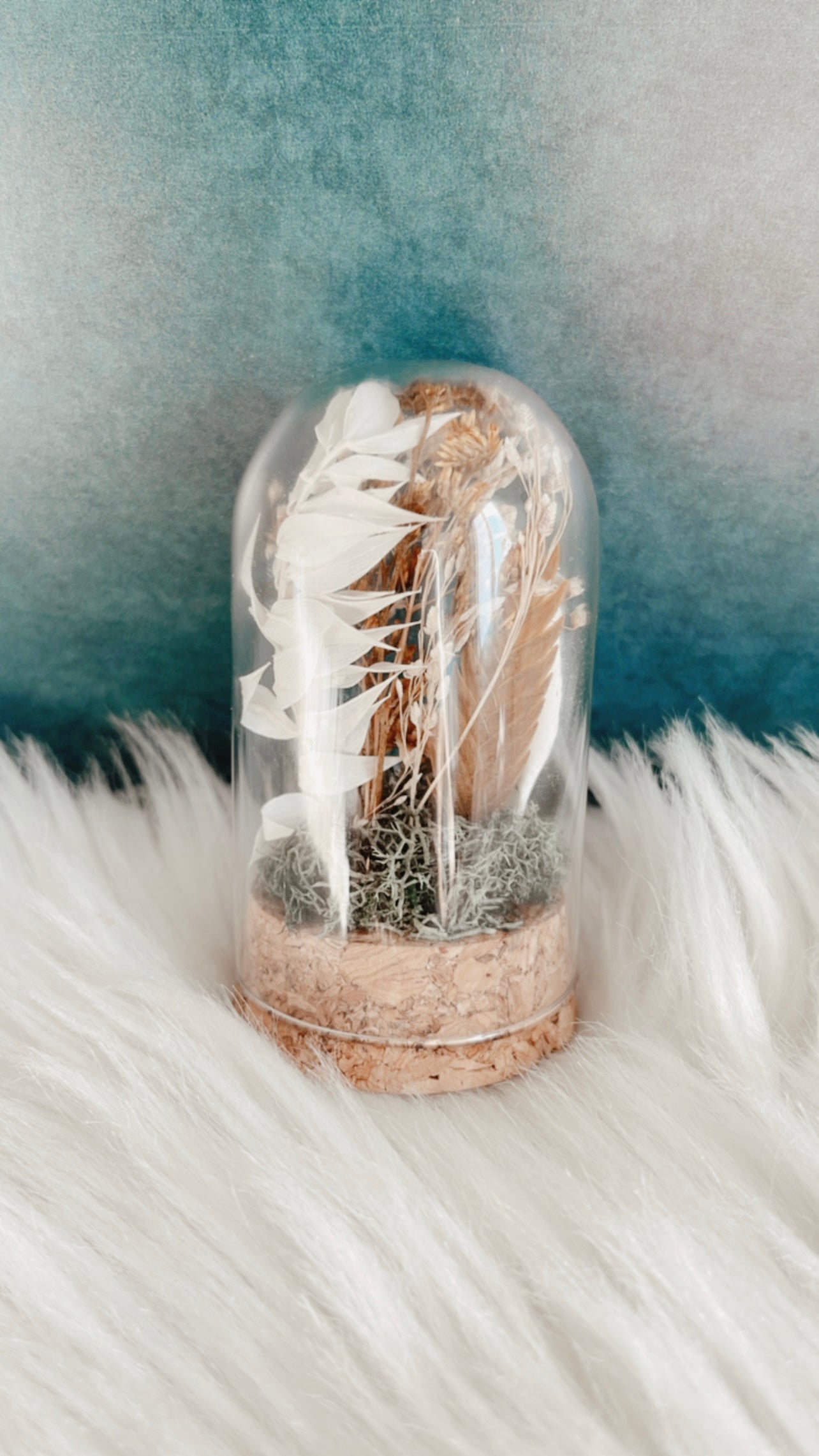 Cordelia Terrarium