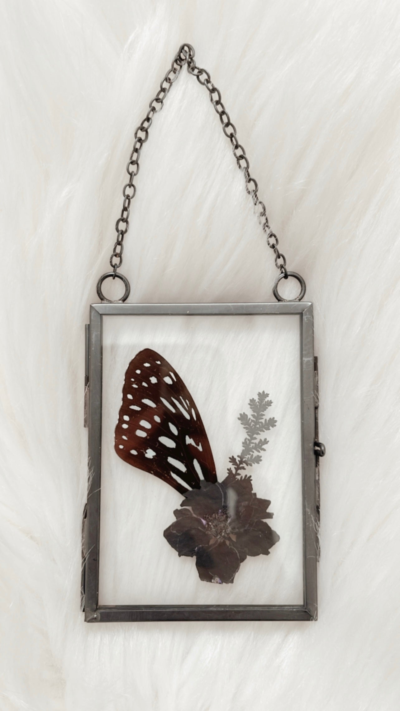 Corinne Butterfly Floral Frame