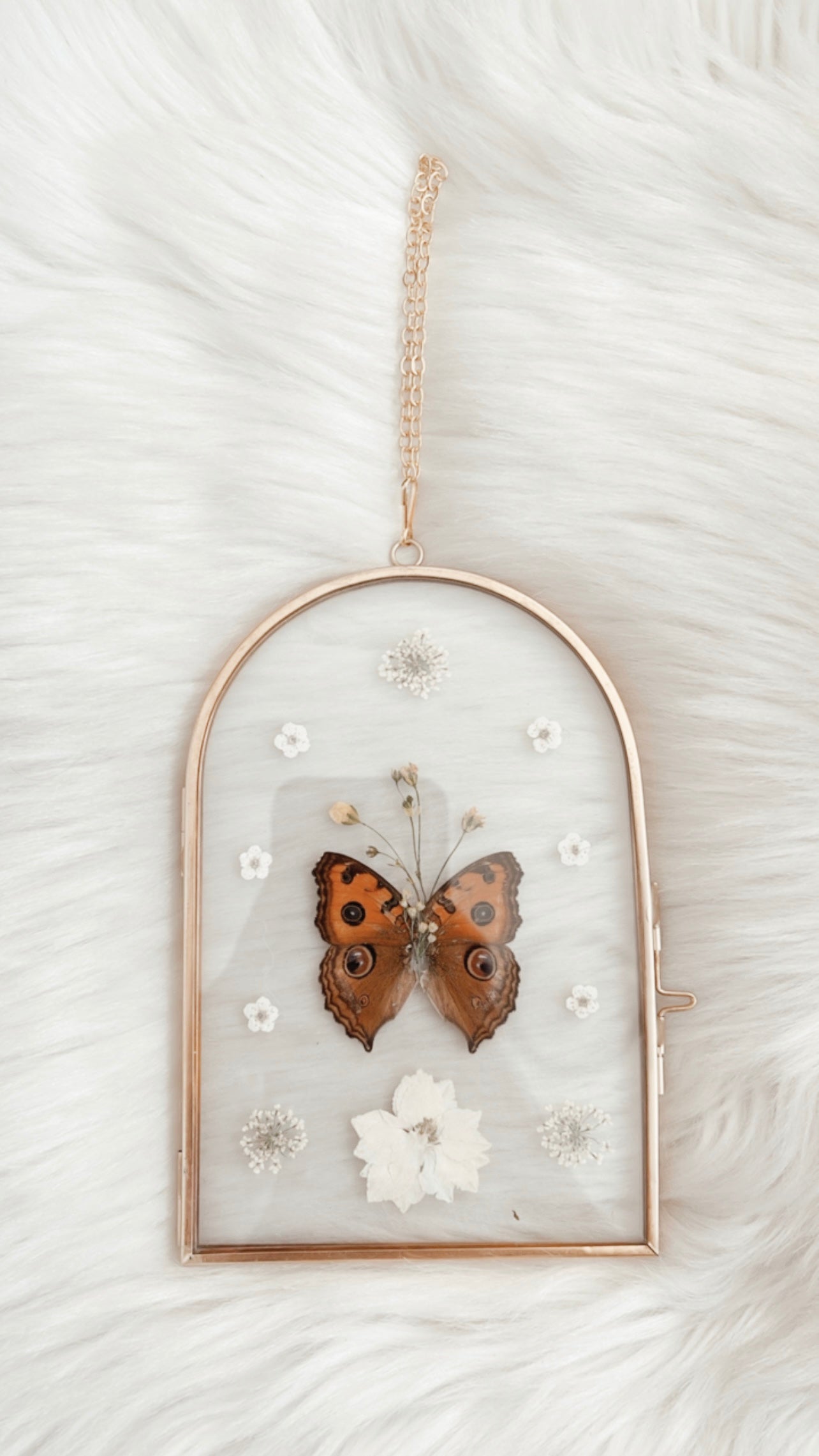Corinne Butterfly Floral Frame
