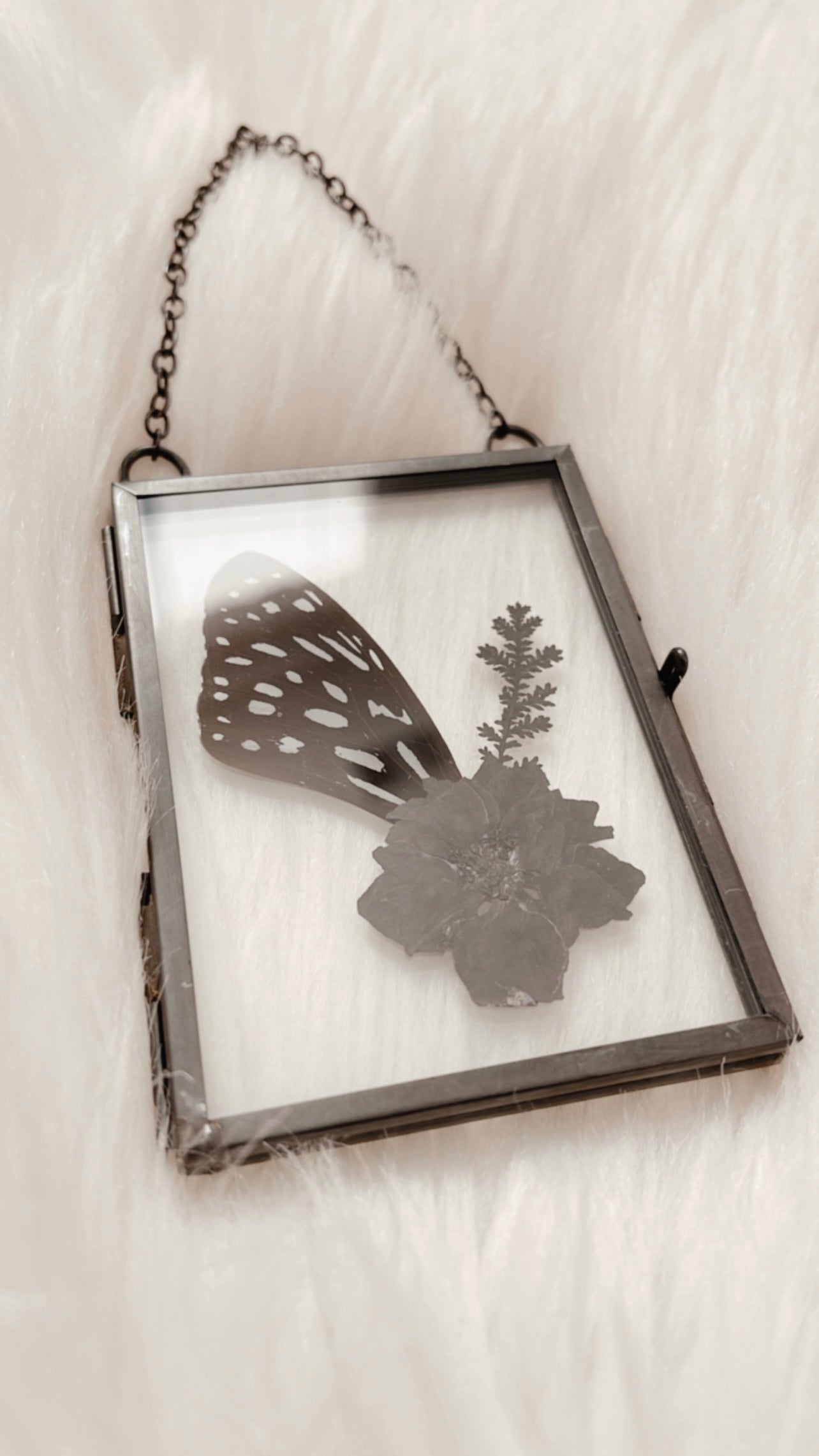 Corinne Butterfly Floral Frame