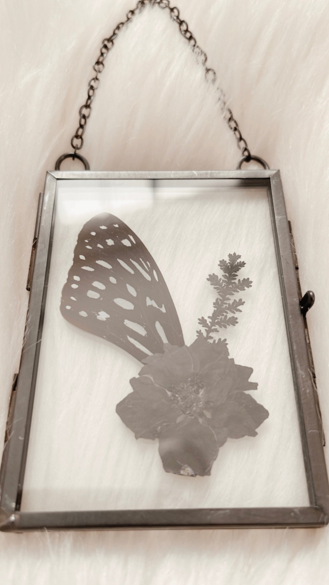 Corinne Butterfly Floral Frame