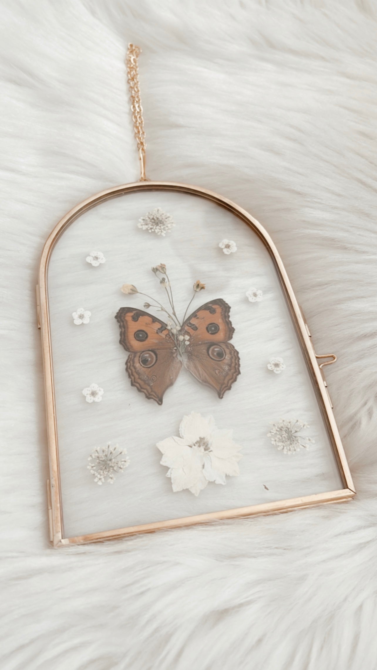 Corinne Butterfly Floral Frame