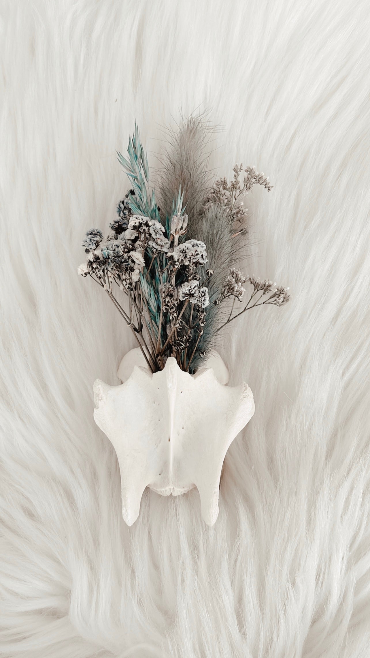 Fawn Vertebrae Floral - Teal